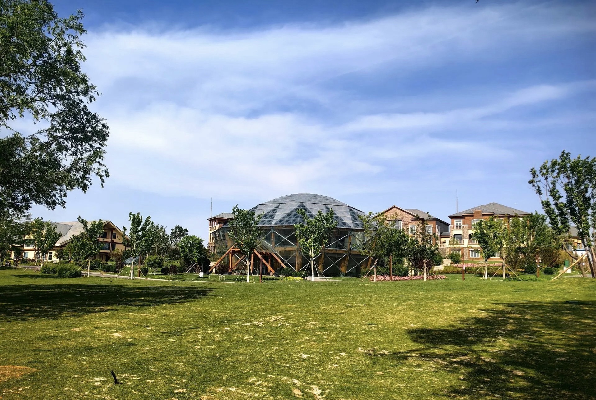 宝应湖国家湿地公园旅行图片 2