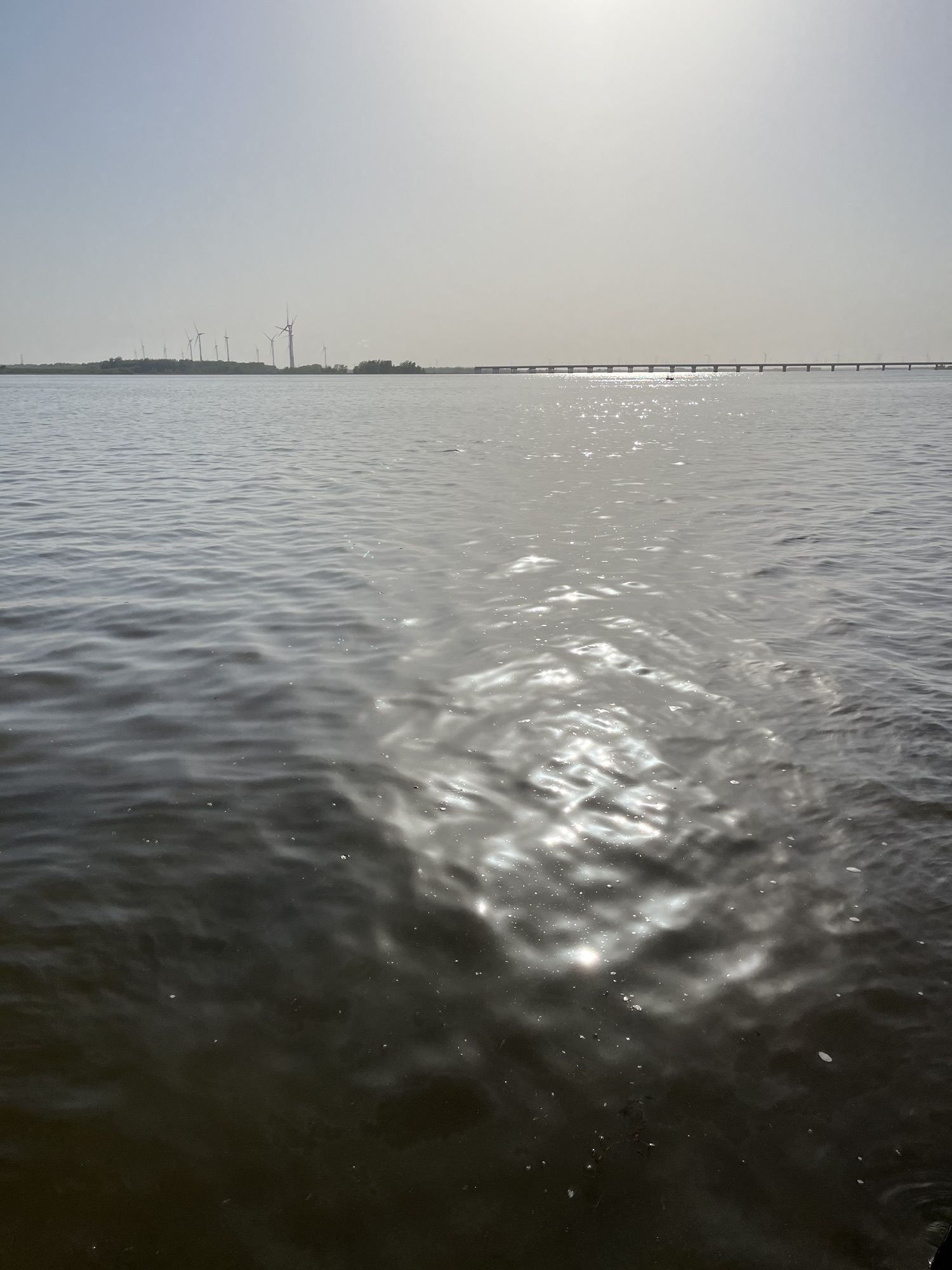 宝应湖国家湿地公园旅行图片 3
