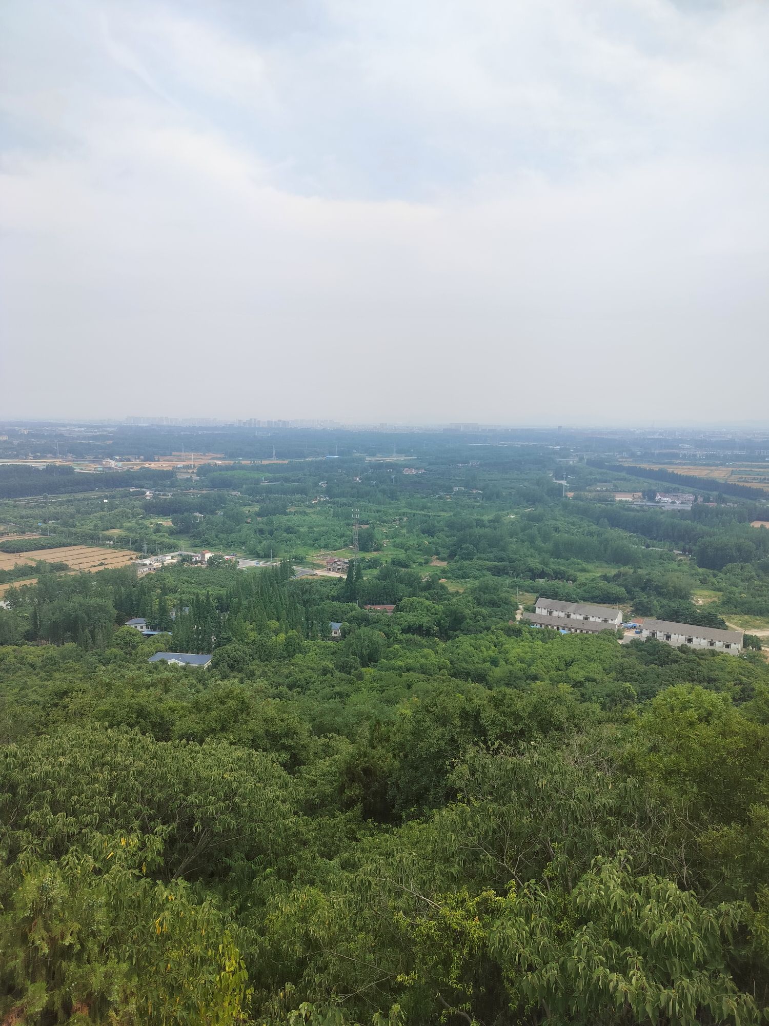 铜山森林公园旅行图片 3