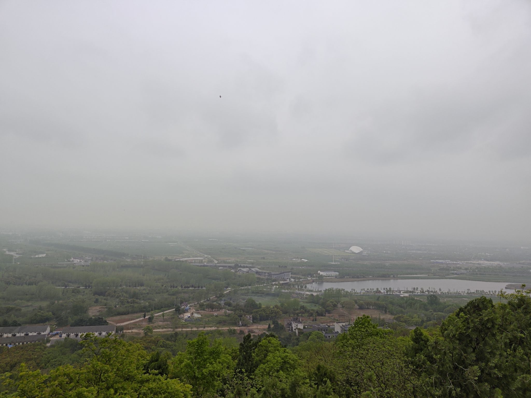 铜山森林公园旅行图片 1