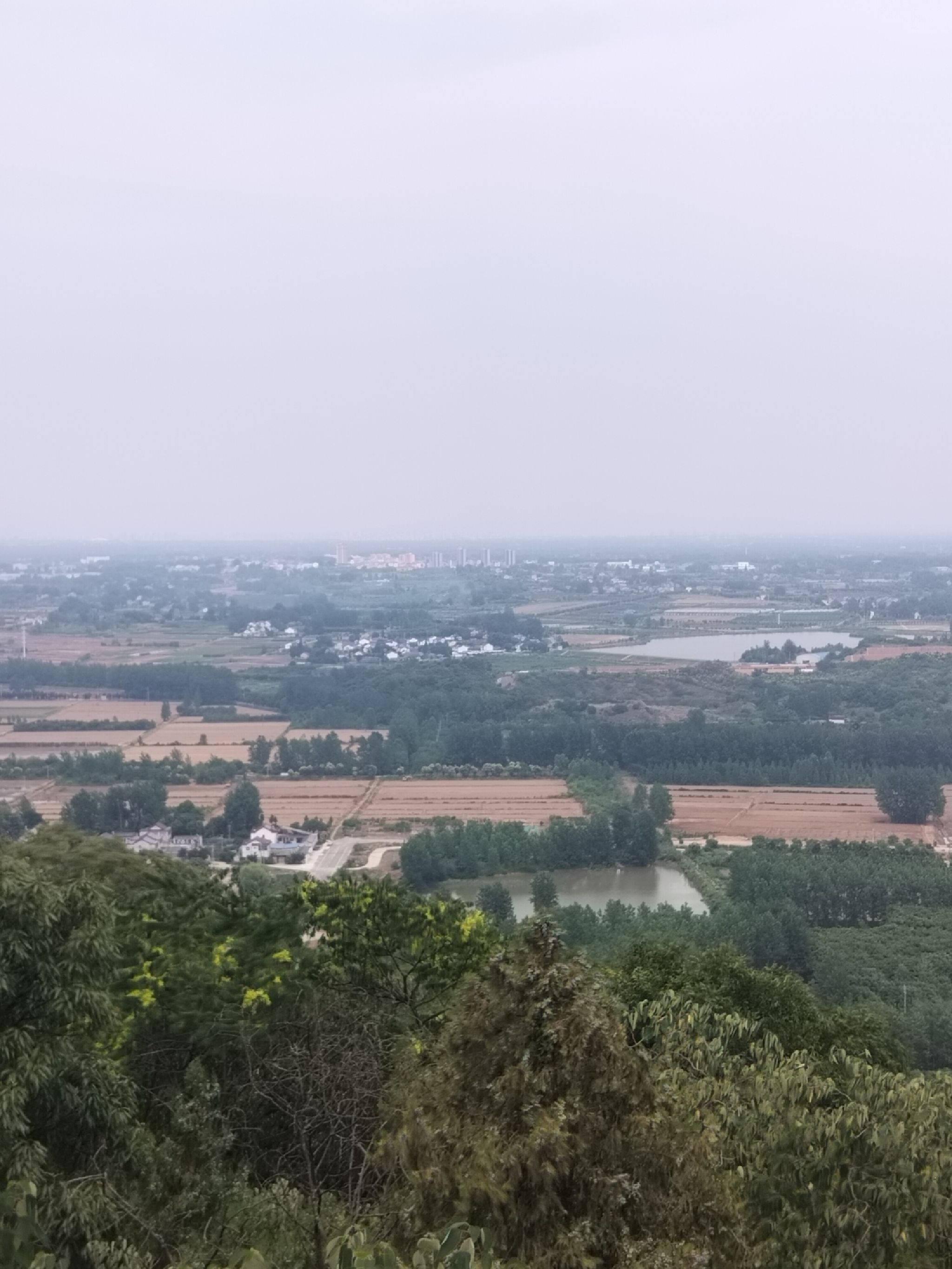铜山森林公园旅行图片 1