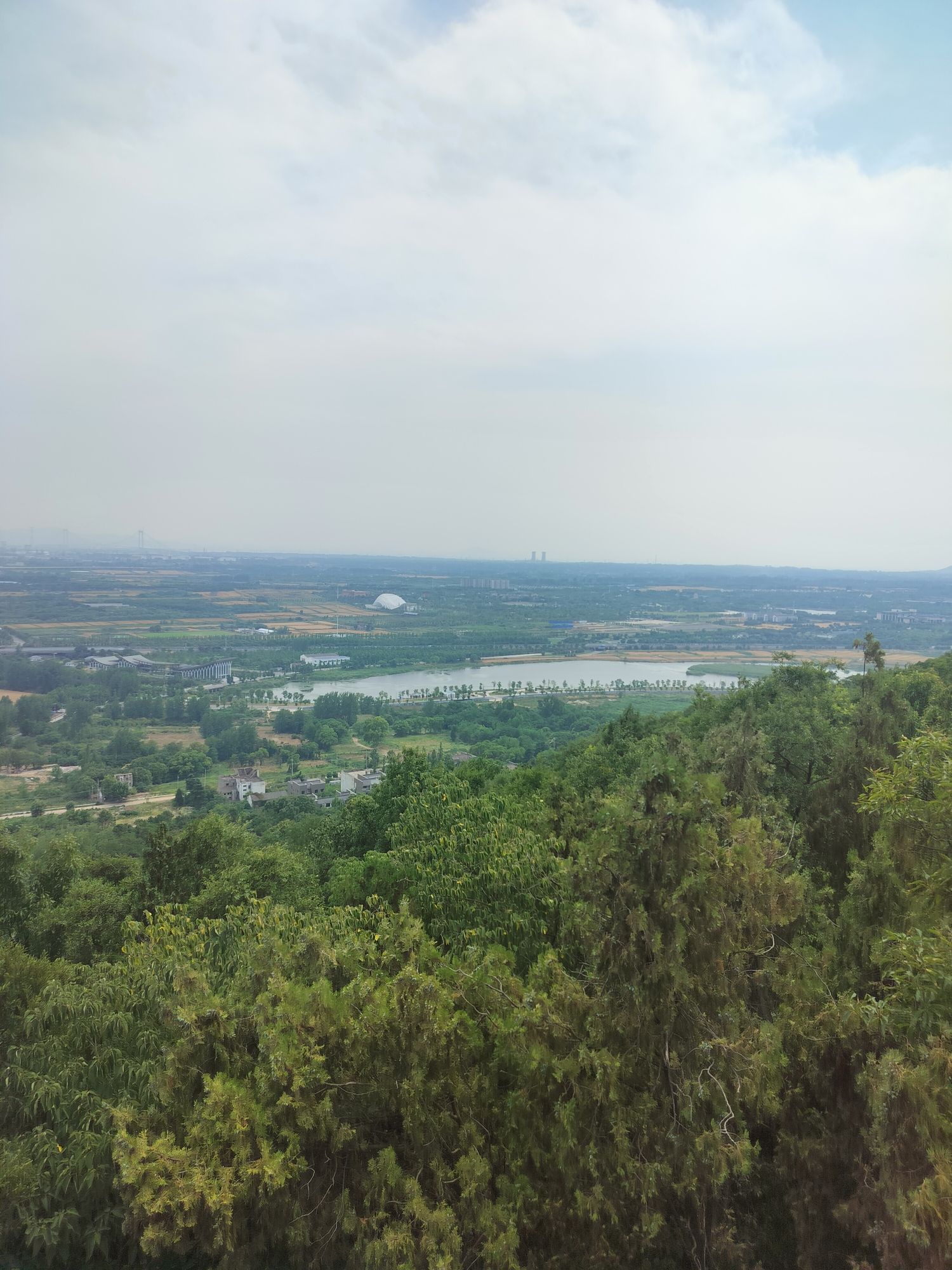 铜山森林公园旅行图片 2