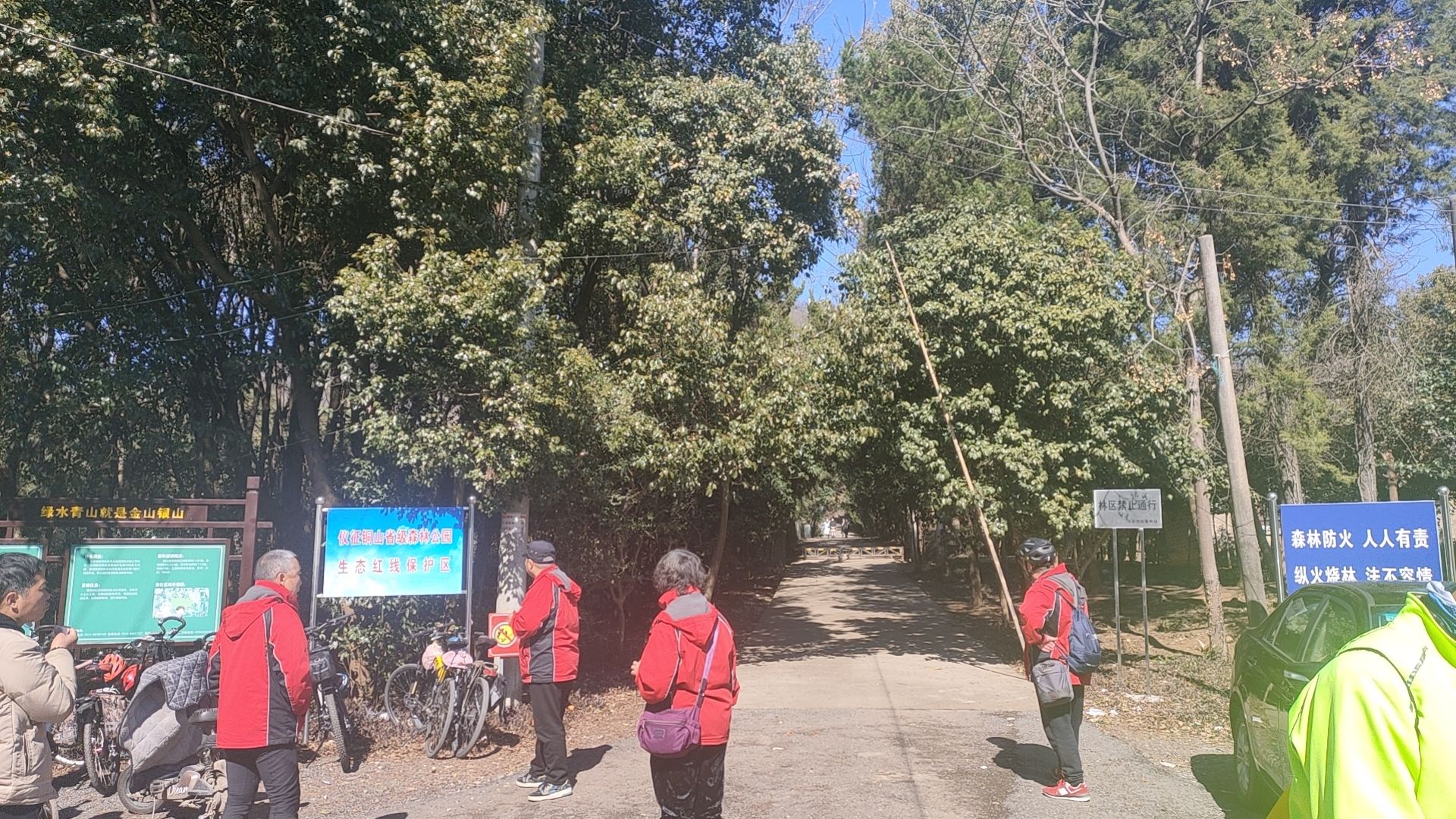 铜山森林公园旅行图片 1