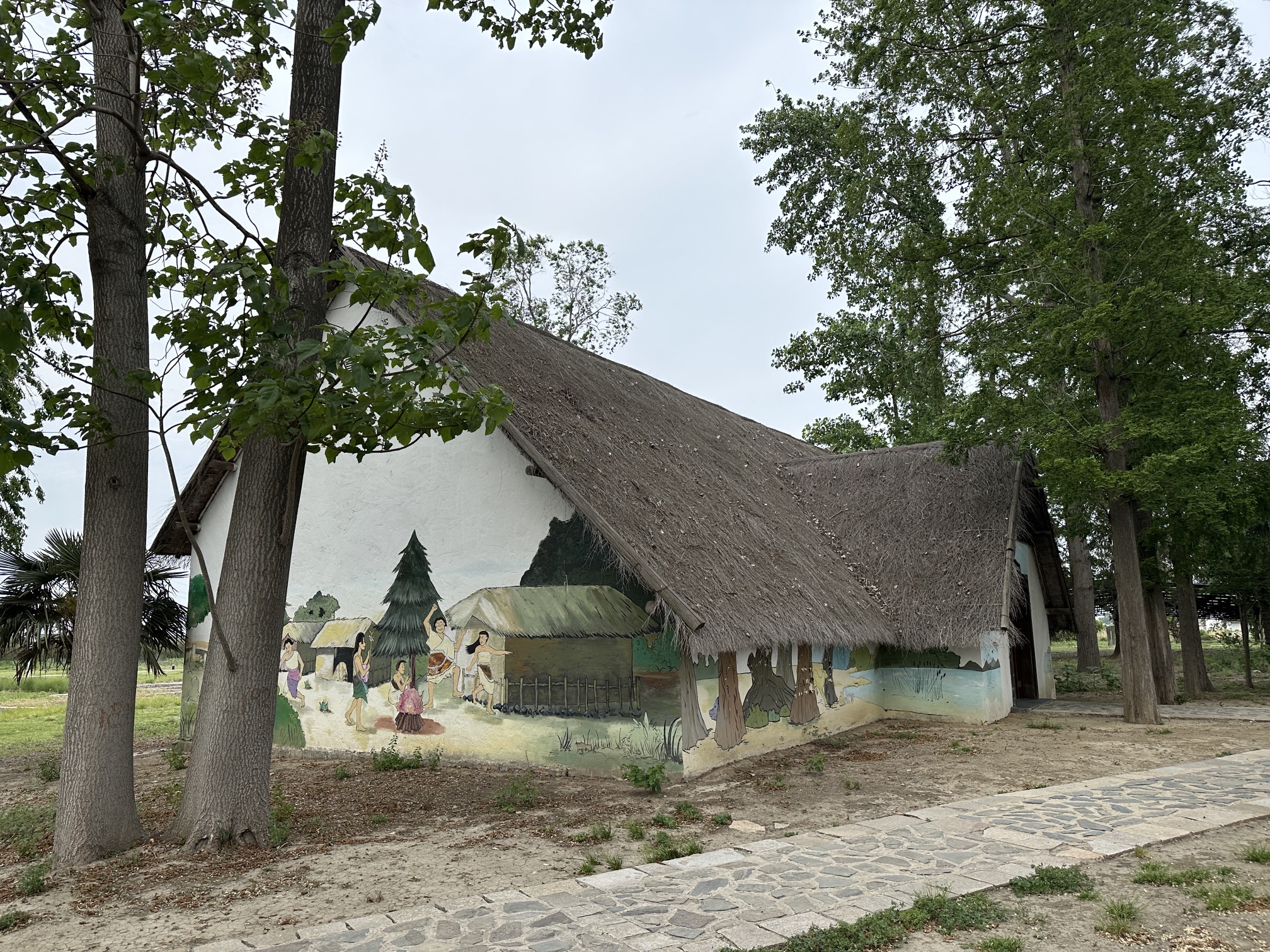 龙虬庄考古遗址公园旅行图片 2