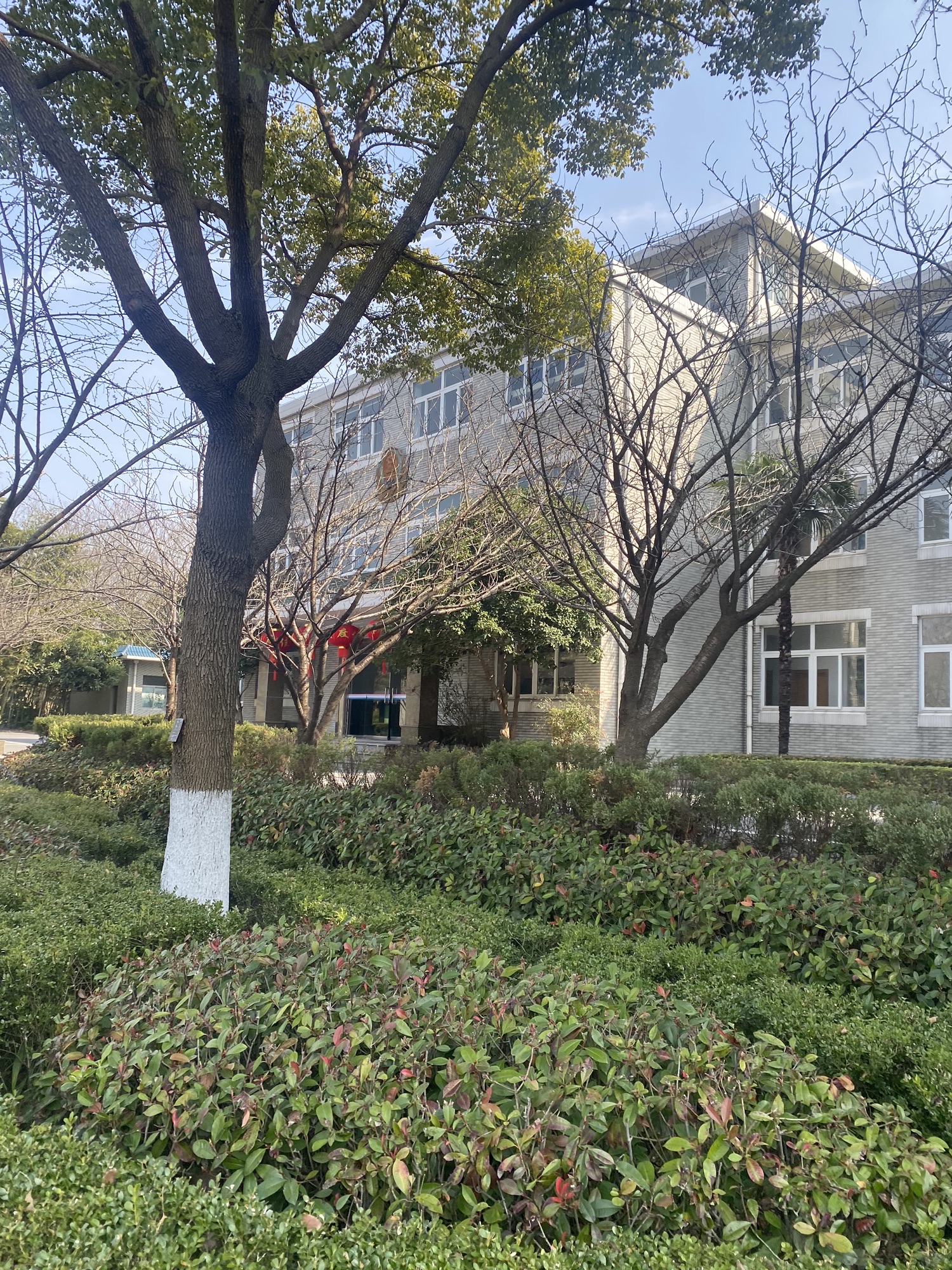 江都水利枢纽植物园旅行图片 2