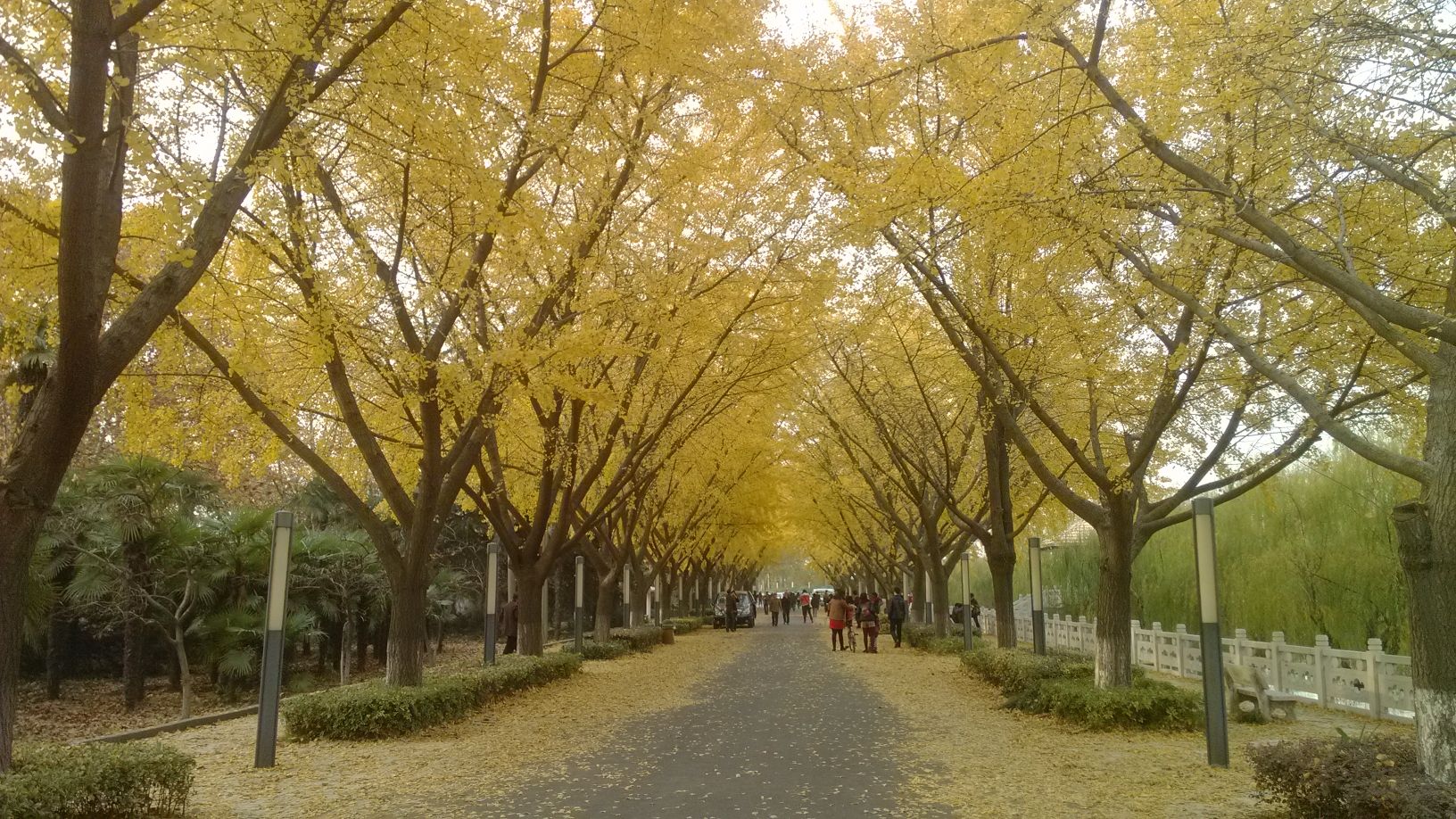 江都水利枢纽植物园旅行图片 2