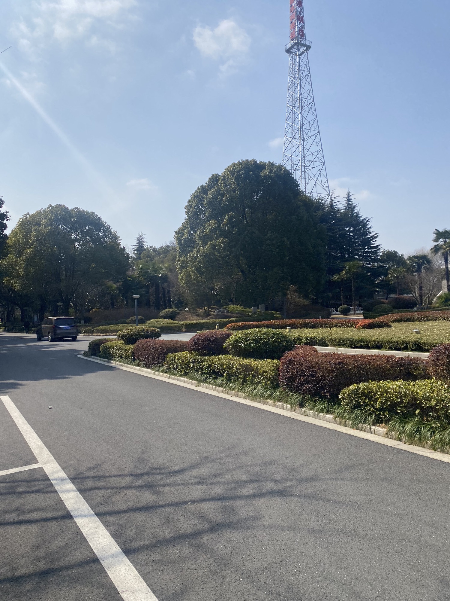 江都水利枢纽植物园旅行图片 1