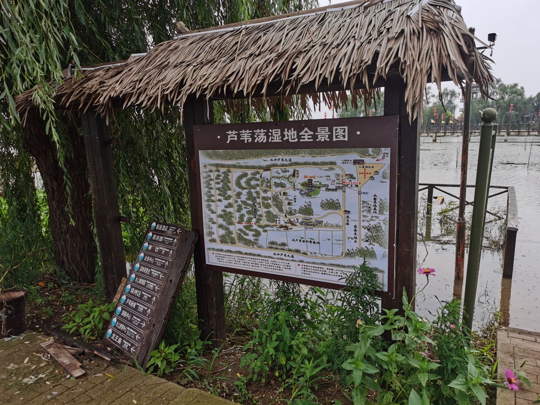 高邮湖芦苇荡生态湿地旅行图片 1