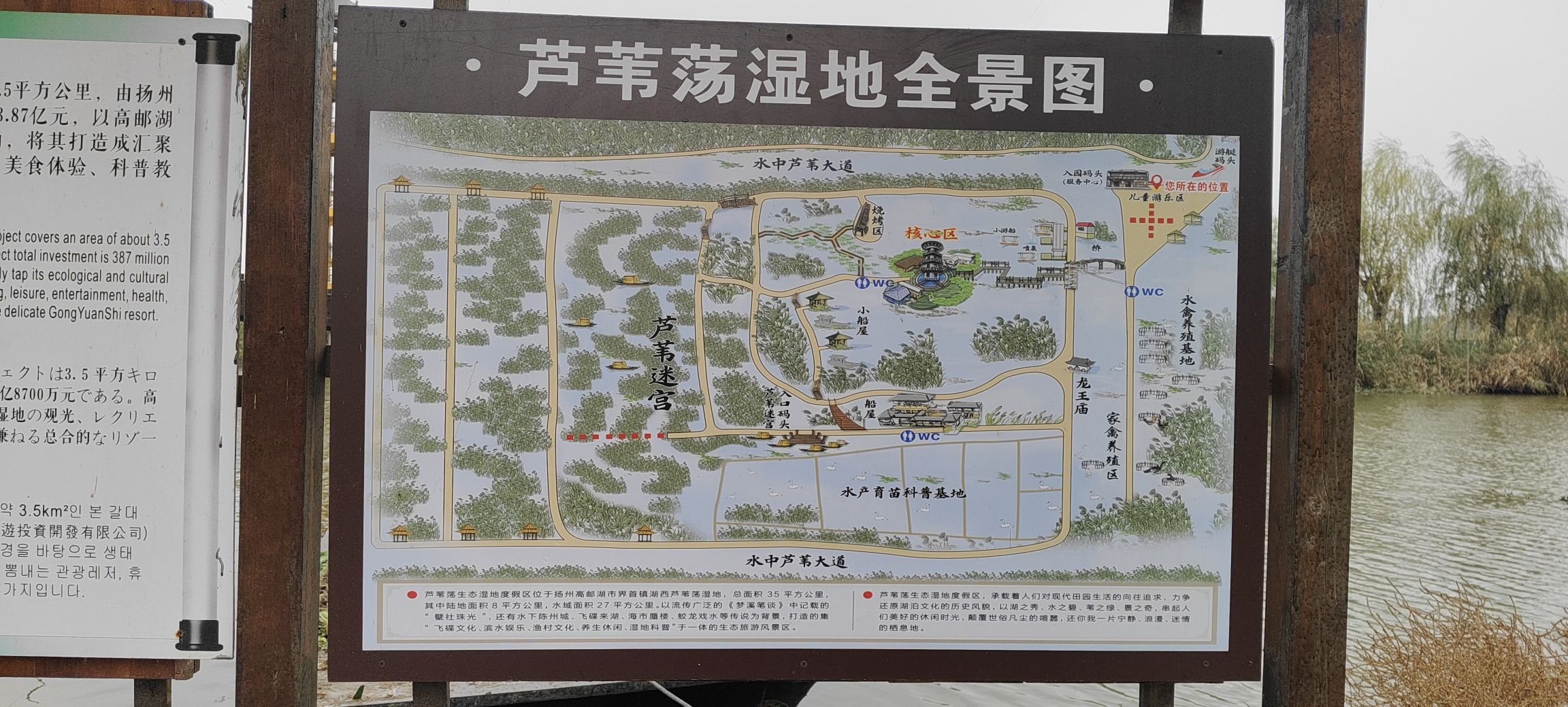 高邮湖芦苇荡生态湿地旅行图片 2