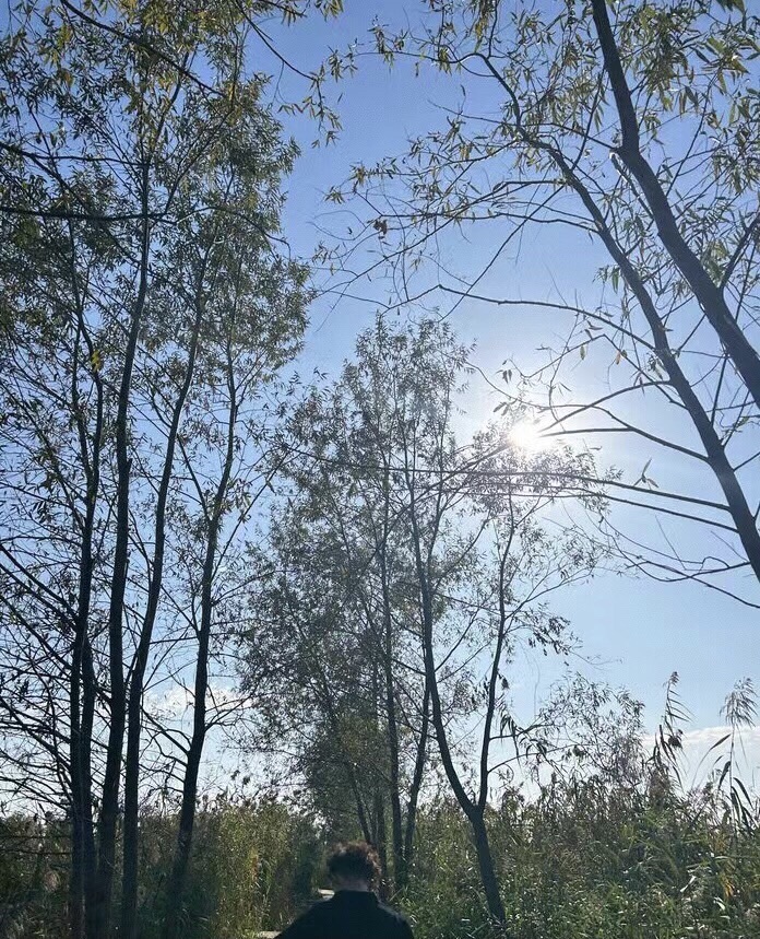 高邮湖芦苇荡生态湿地旅行图片 3