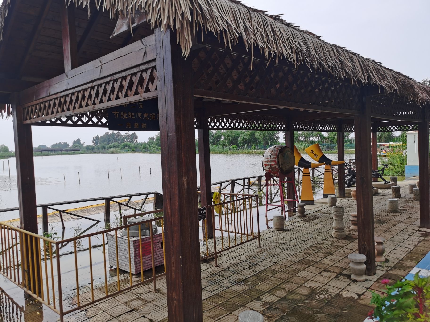高邮湖芦苇荡生态湿地旅行图片 2