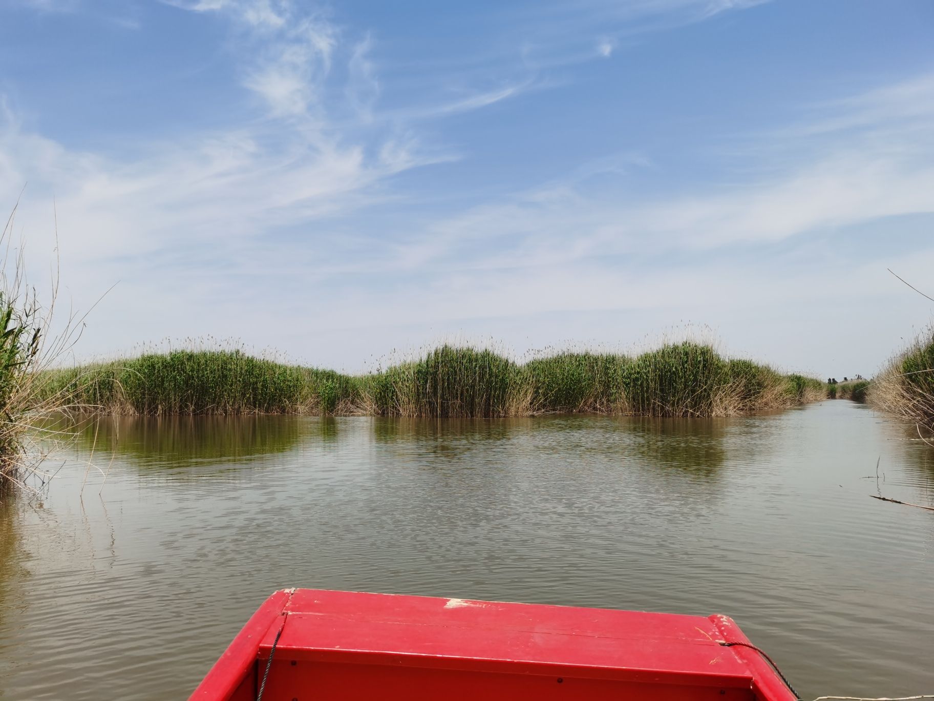 高邮湖芦苇荡生态湿地旅行图片 2
