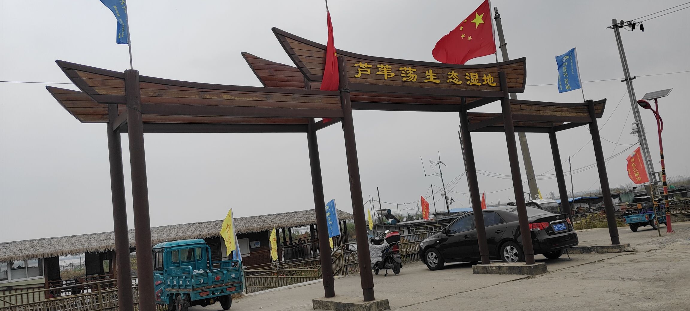 高邮湖芦苇荡生态湿地旅行图片 1