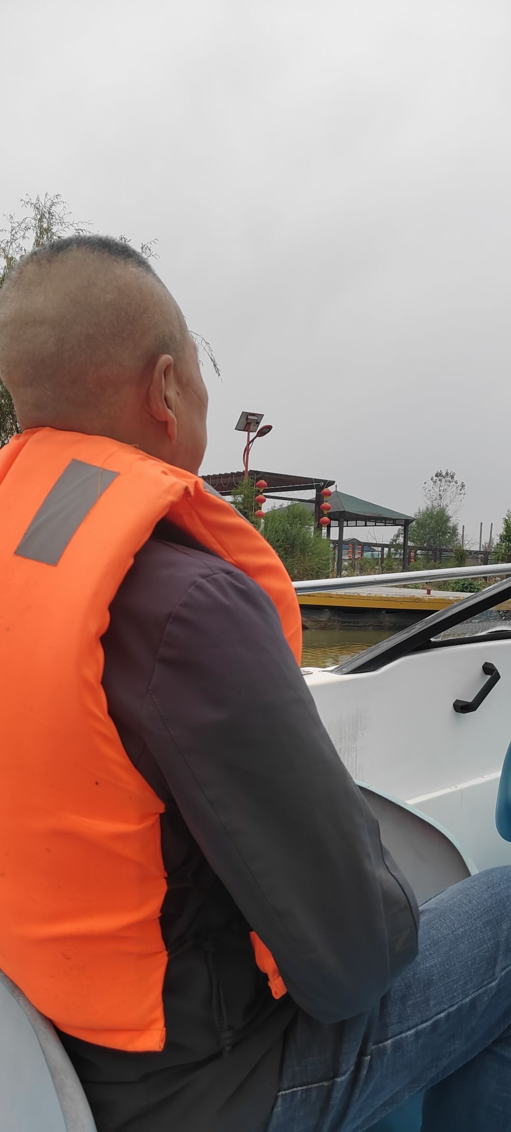 高邮湖芦苇荡生态湿地旅行图片 3