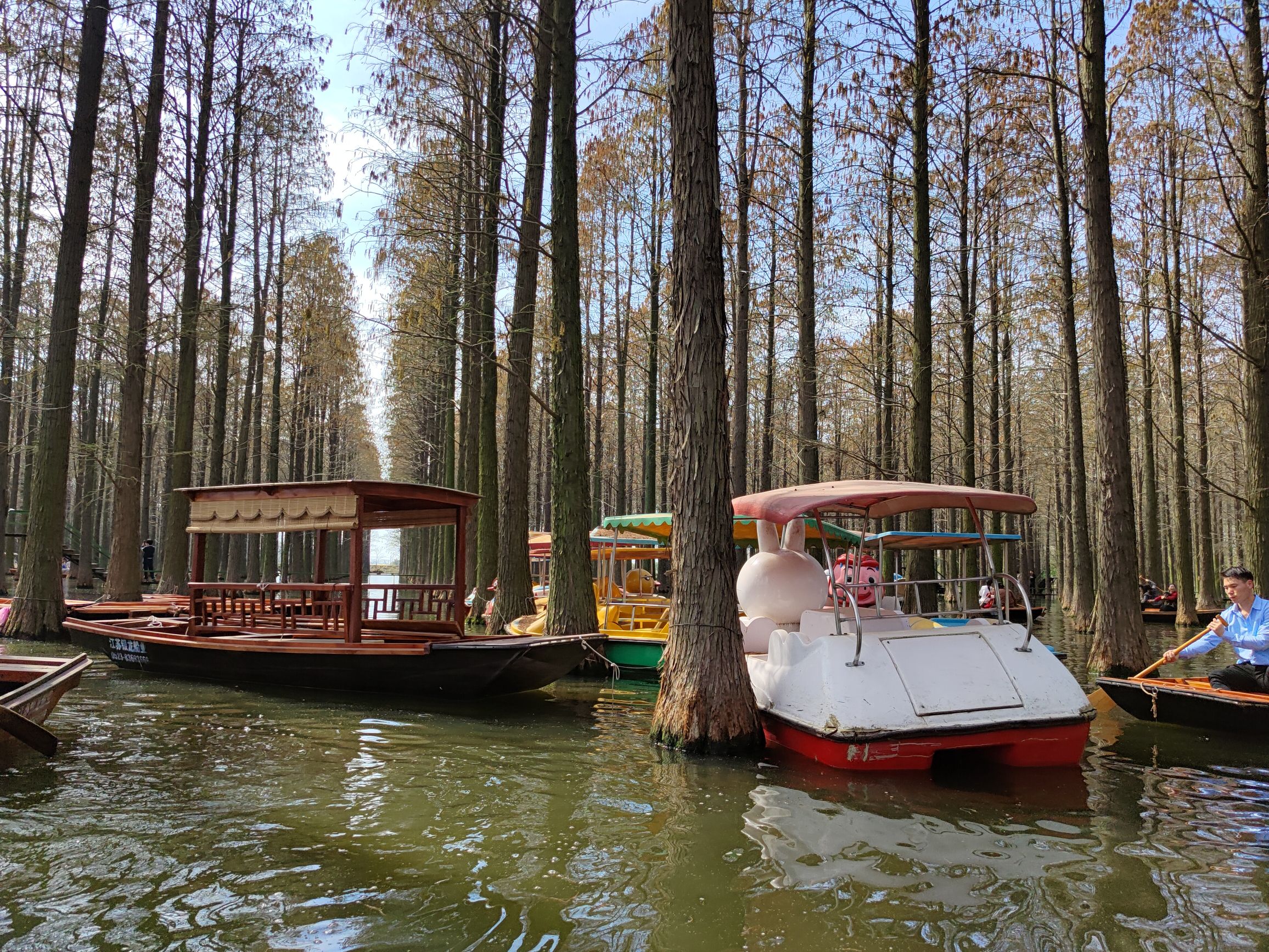 渌洋湖廉洁文化公园旅行图片 3