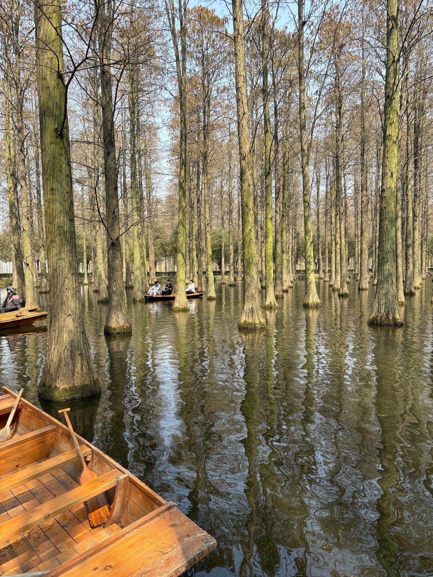 渌洋湖廉洁文化公园旅行图片 3