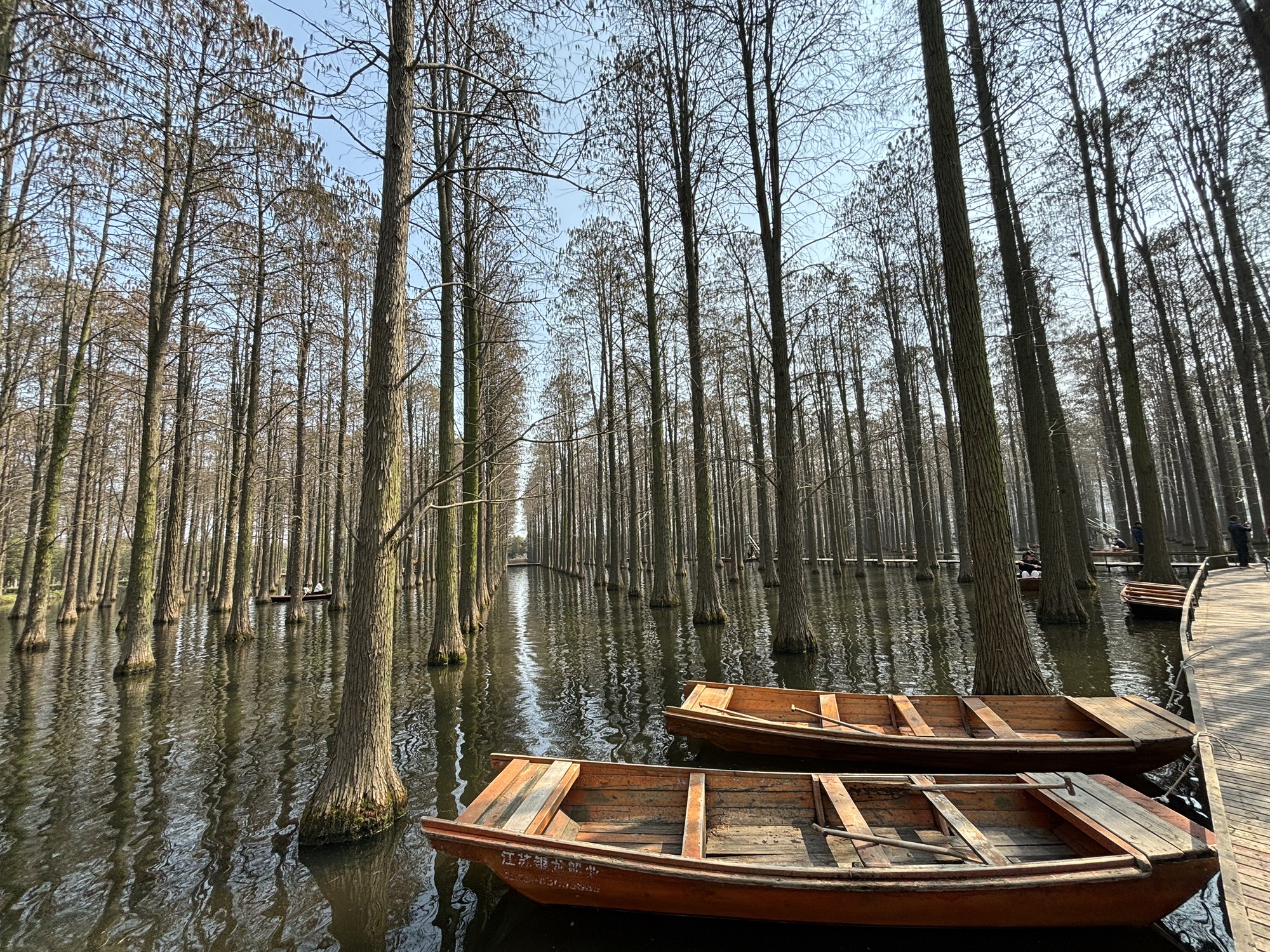 渌洋湖廉洁文化公园旅行图片 2