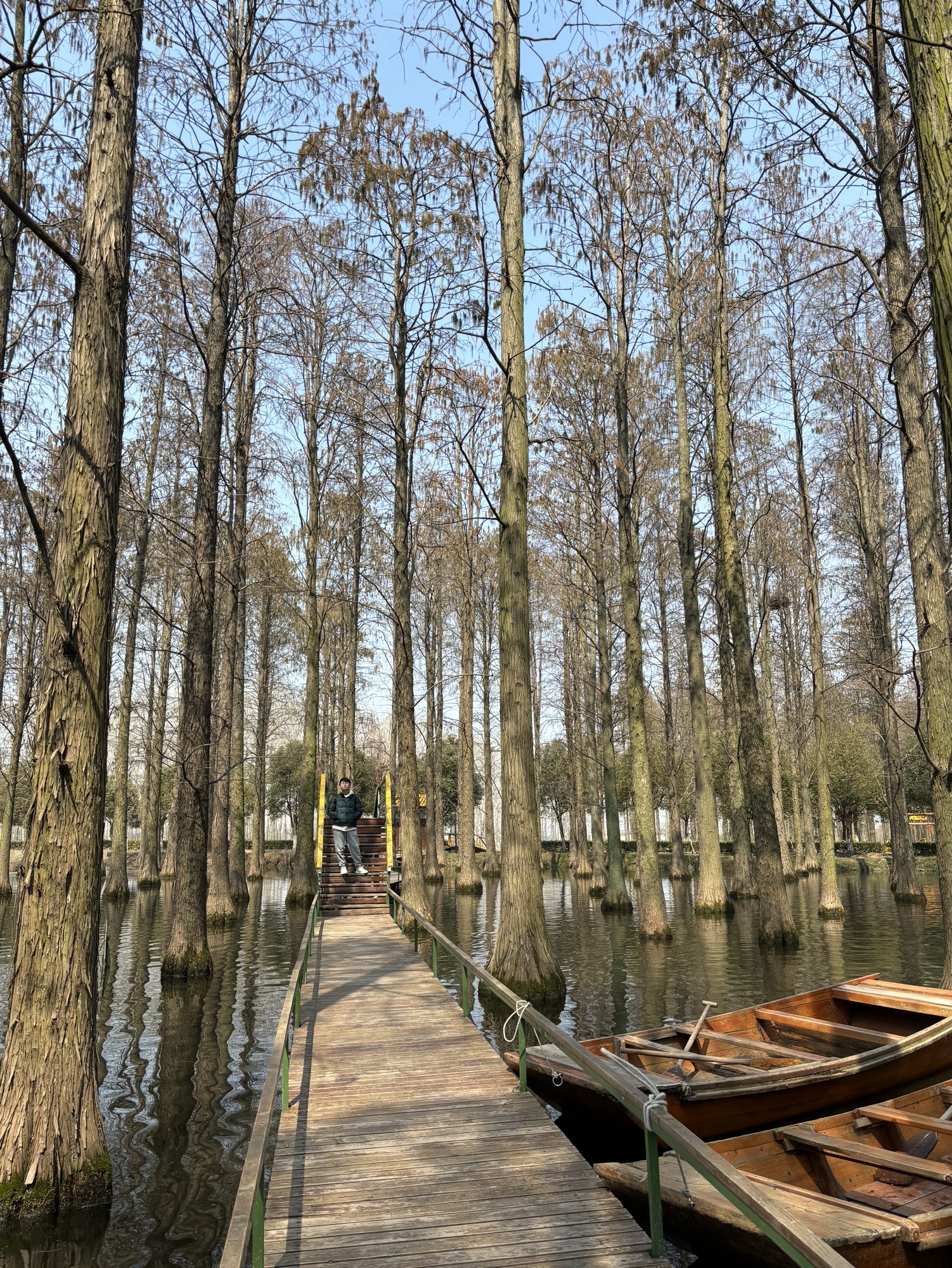 渌洋湖廉洁文化公园旅行图片 1