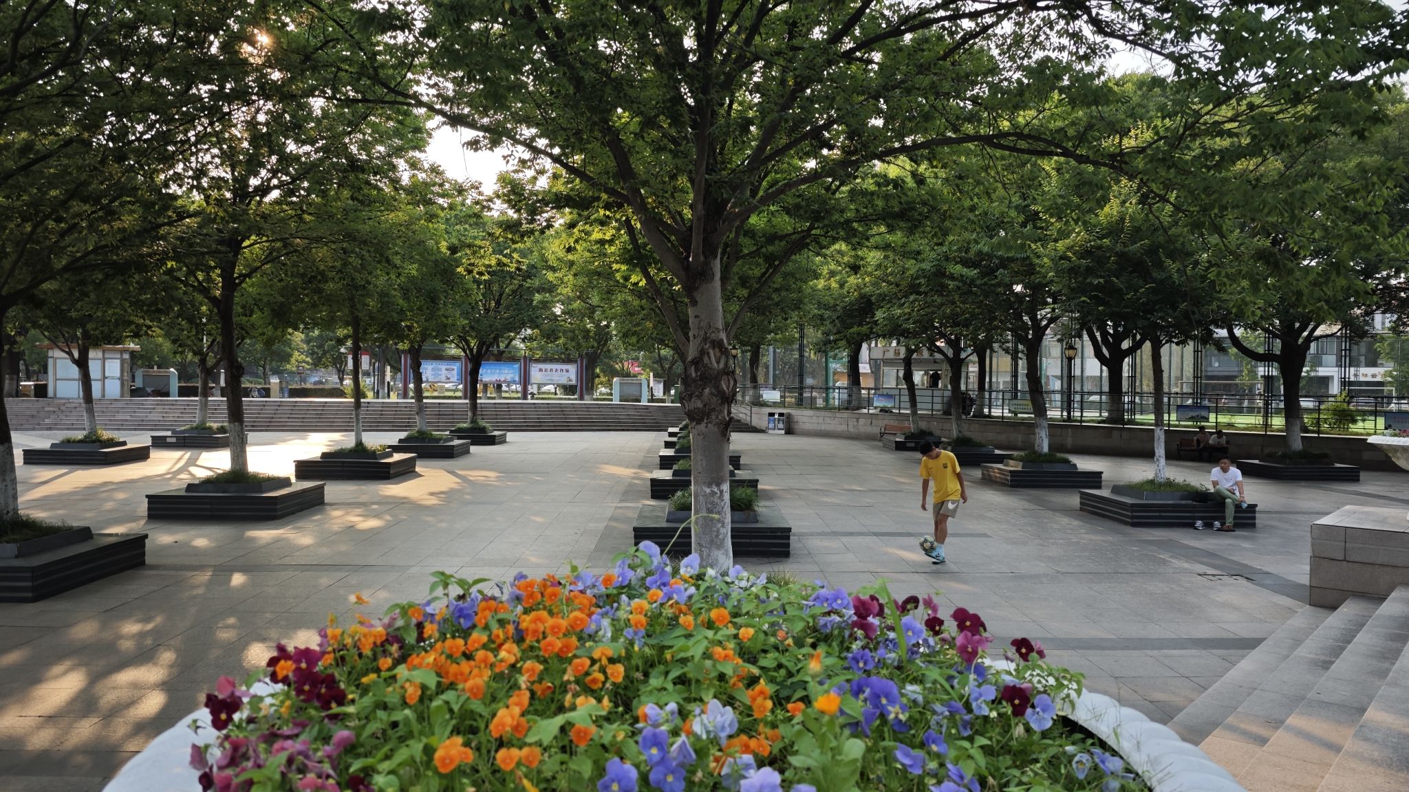 健康主题公园(蝶园路)旅行图片 3