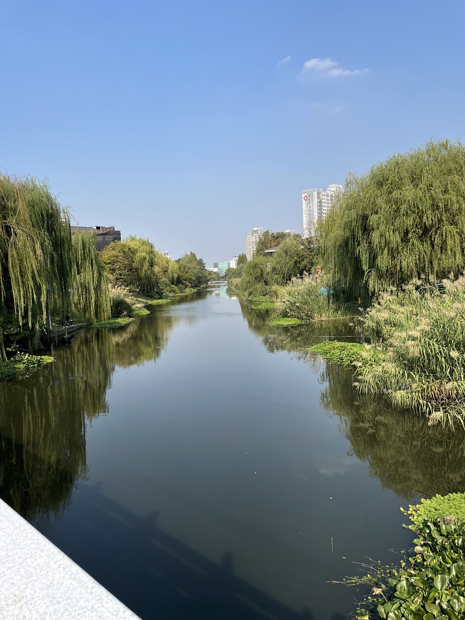 引潮河风光带-健康主题公园旅行图片 3