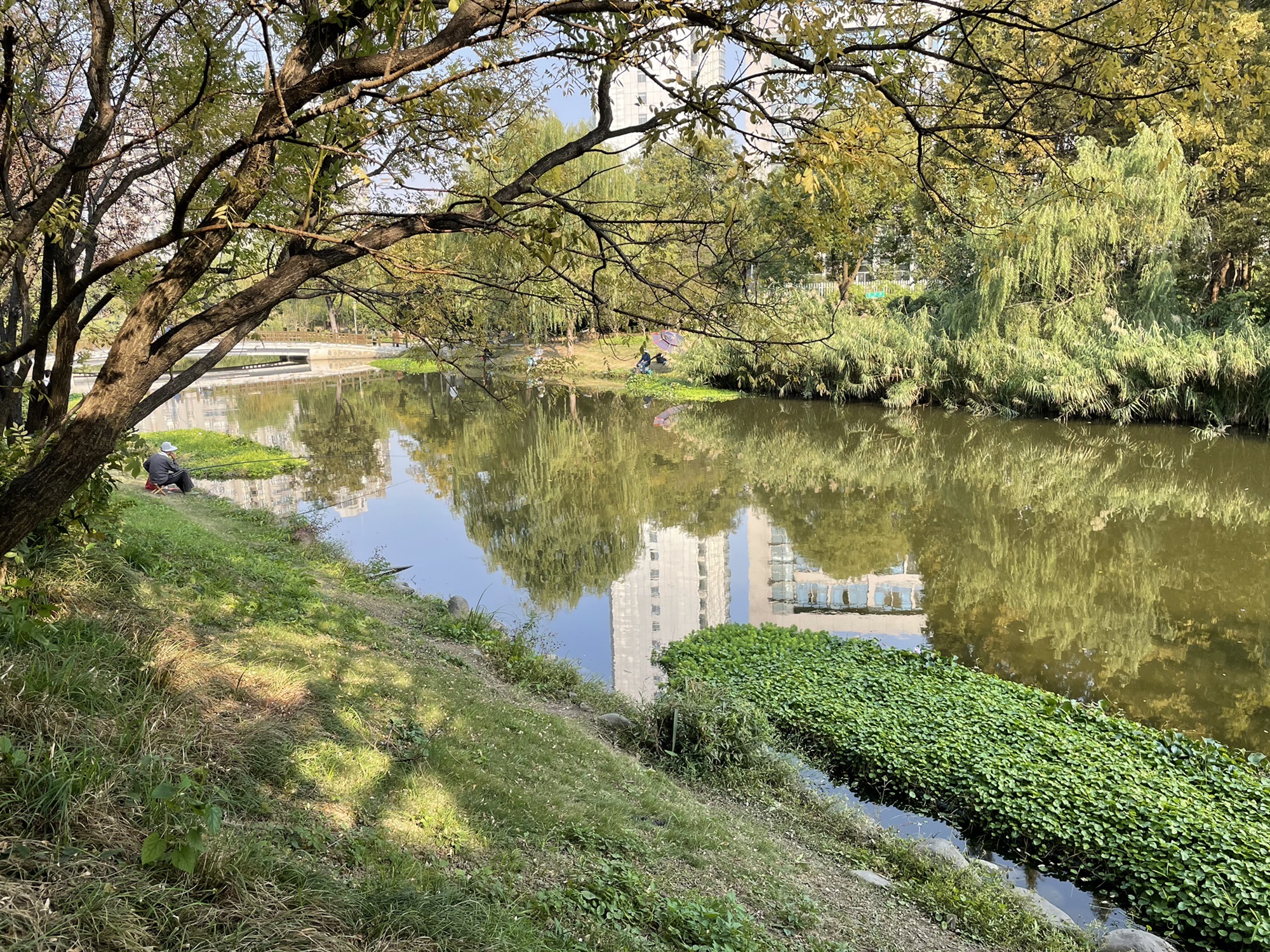 引潮河风光带-健康主题公园旅行图片 2