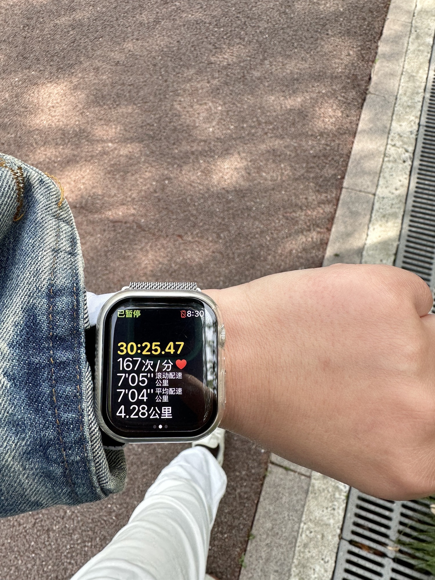 世纪公园旅行图片 3