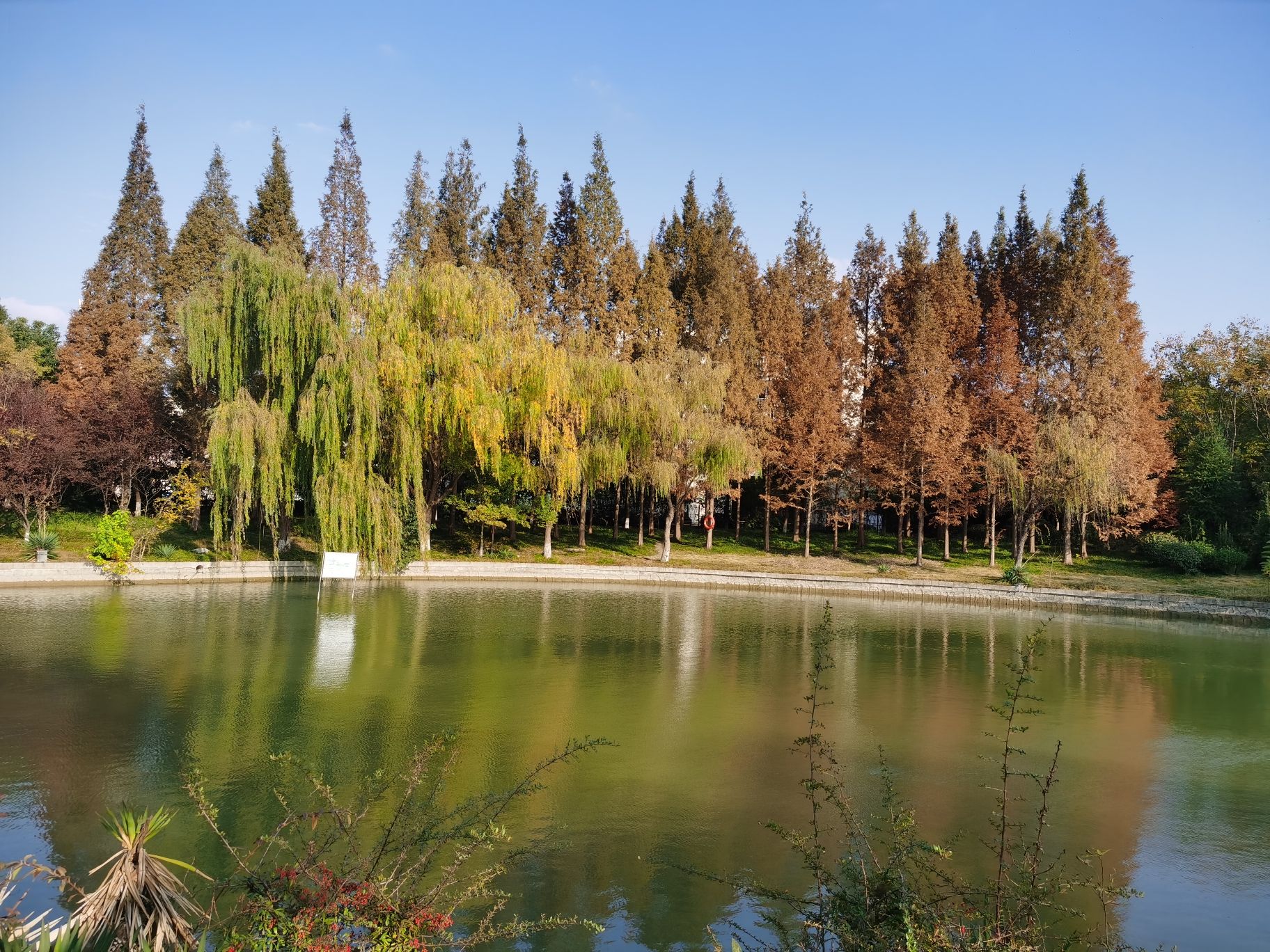 世纪公园旅行图片 2
