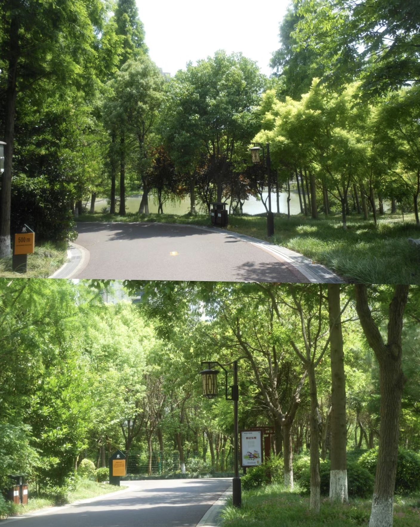 世纪公园旅行图片 1