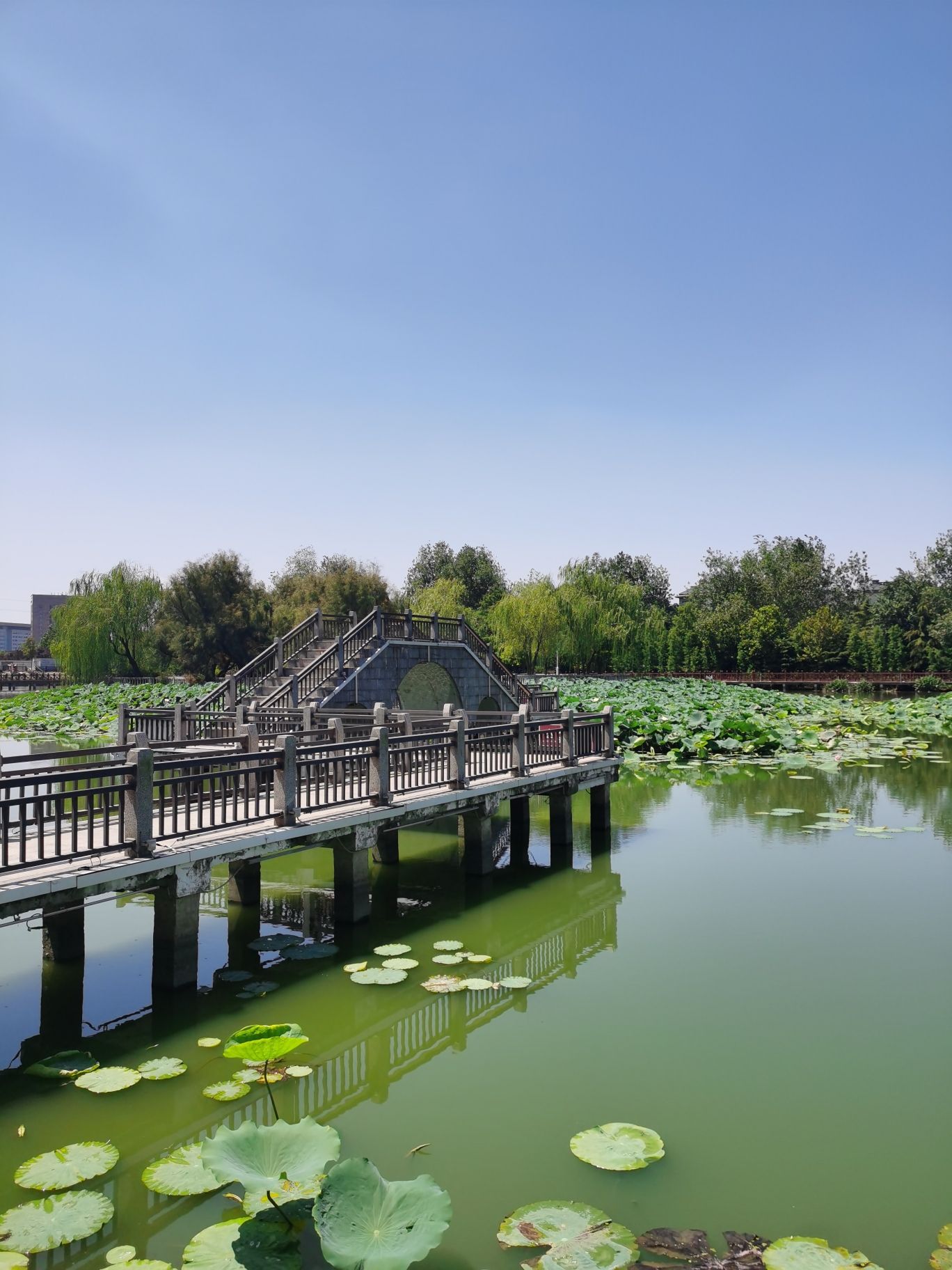 滨海公园旅行图片 3