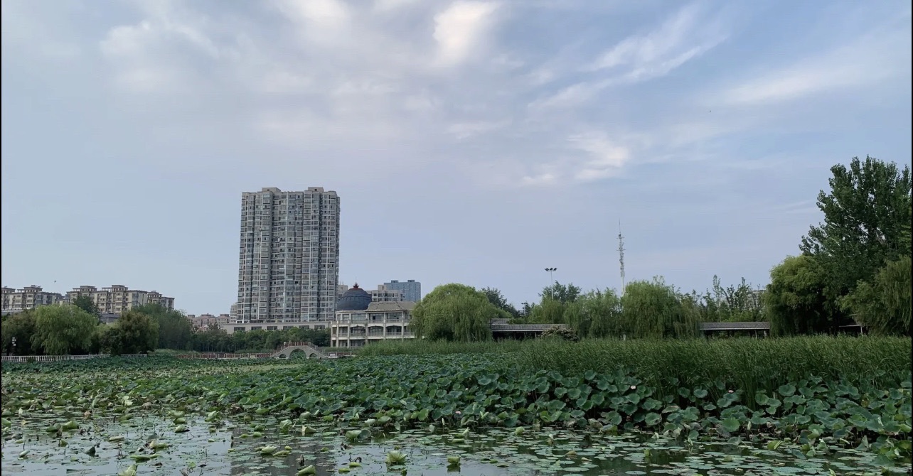 滨海公园旅行图片 3