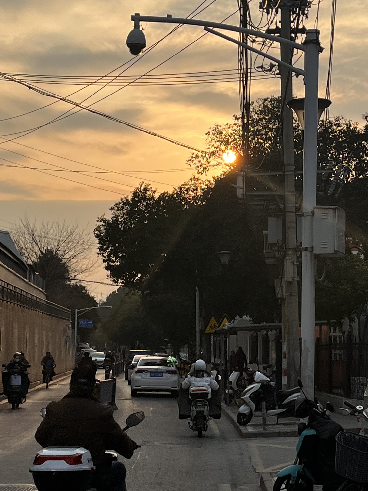 滨海公园旅行图片 1