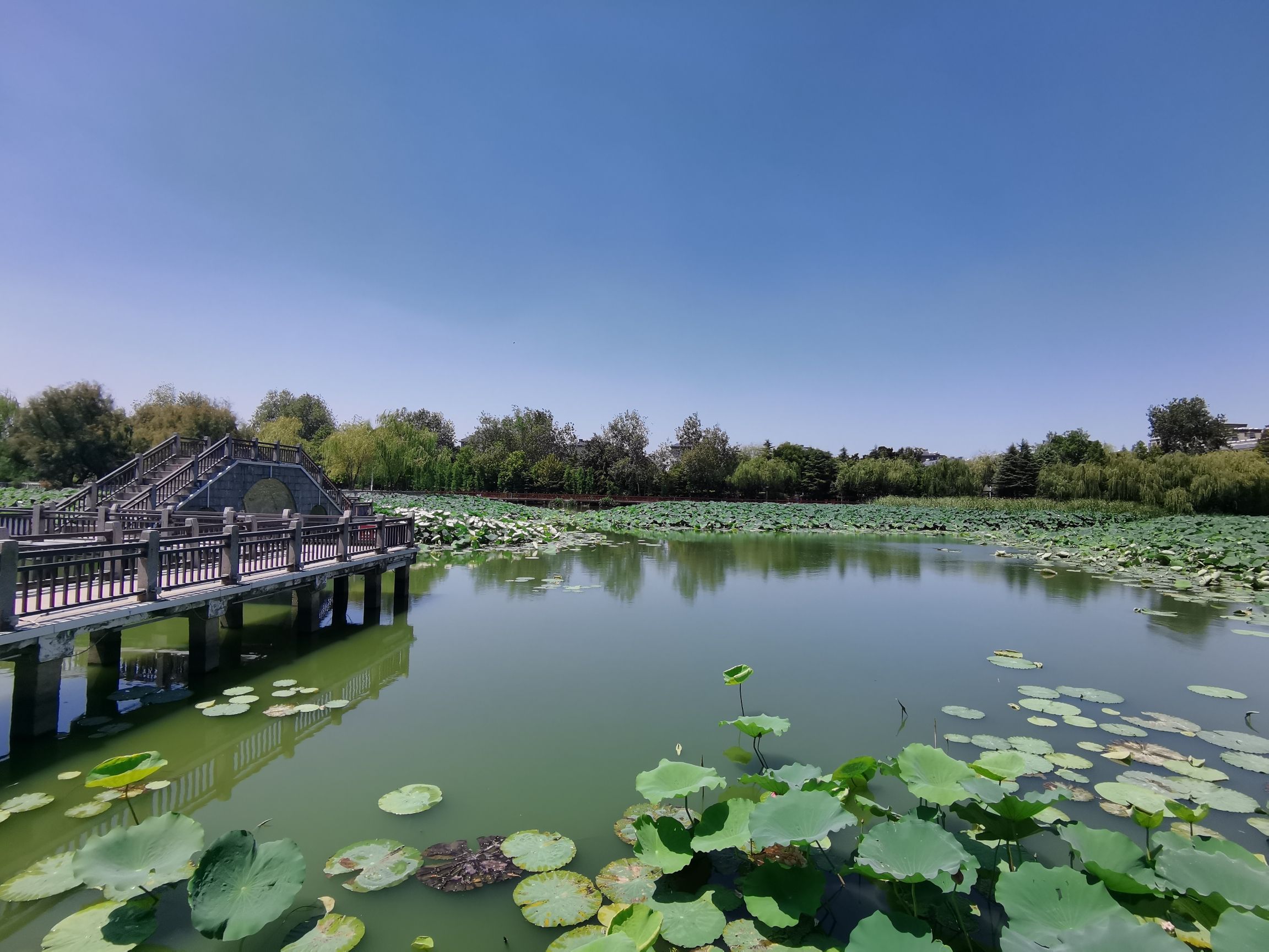 滨海公园旅行图片 2
