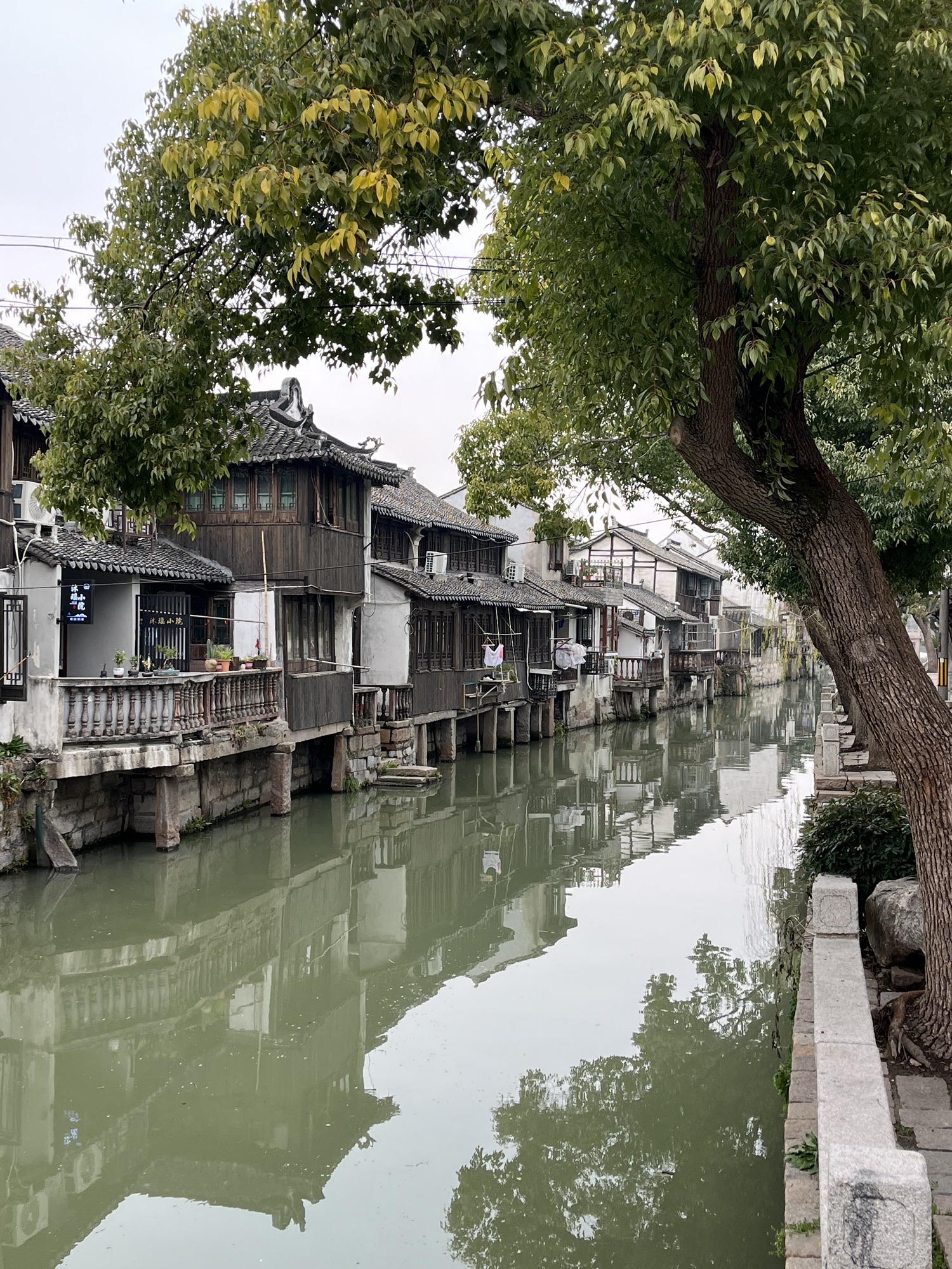 滨海公园旅行图片 2
