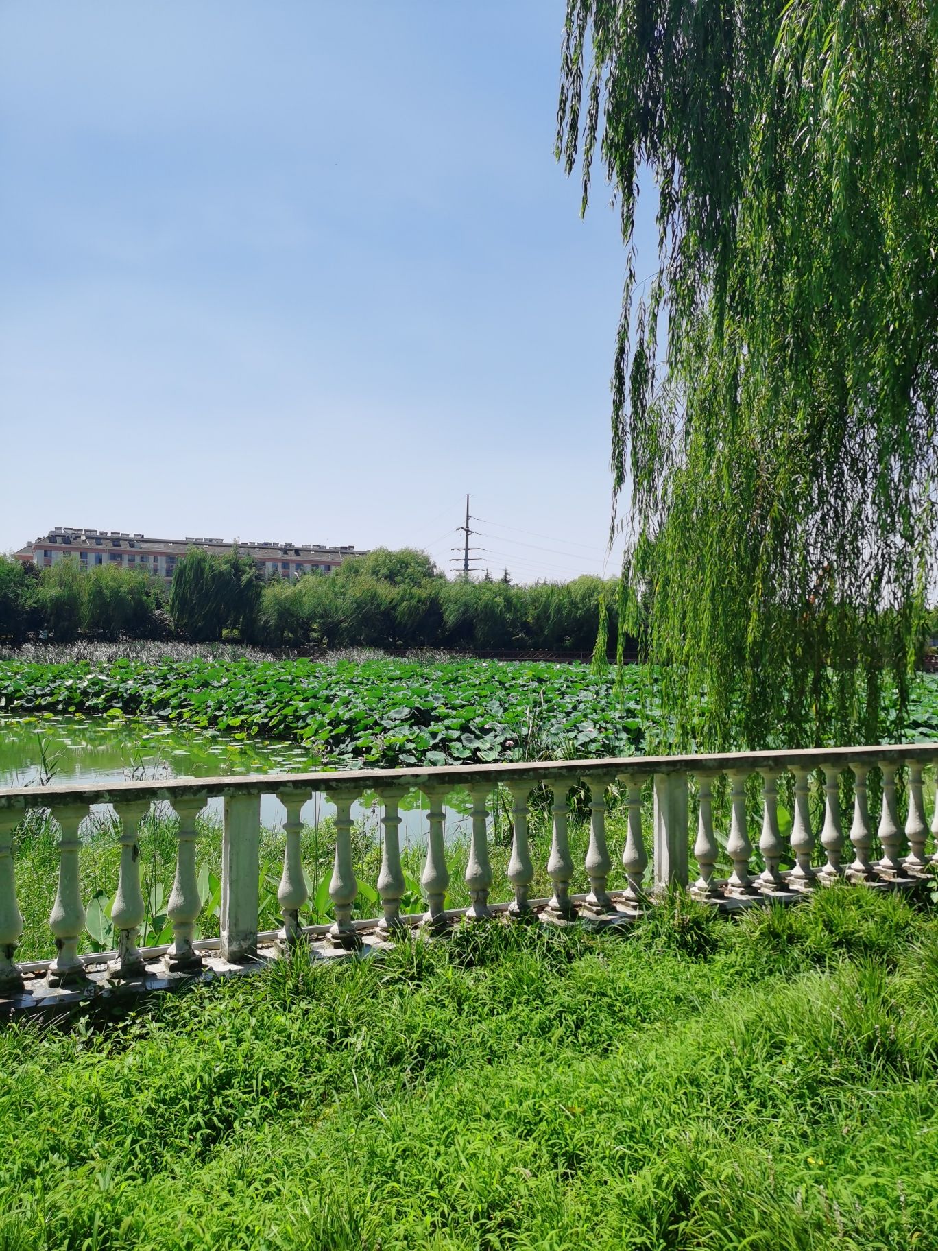 滨海公园旅行图片 1