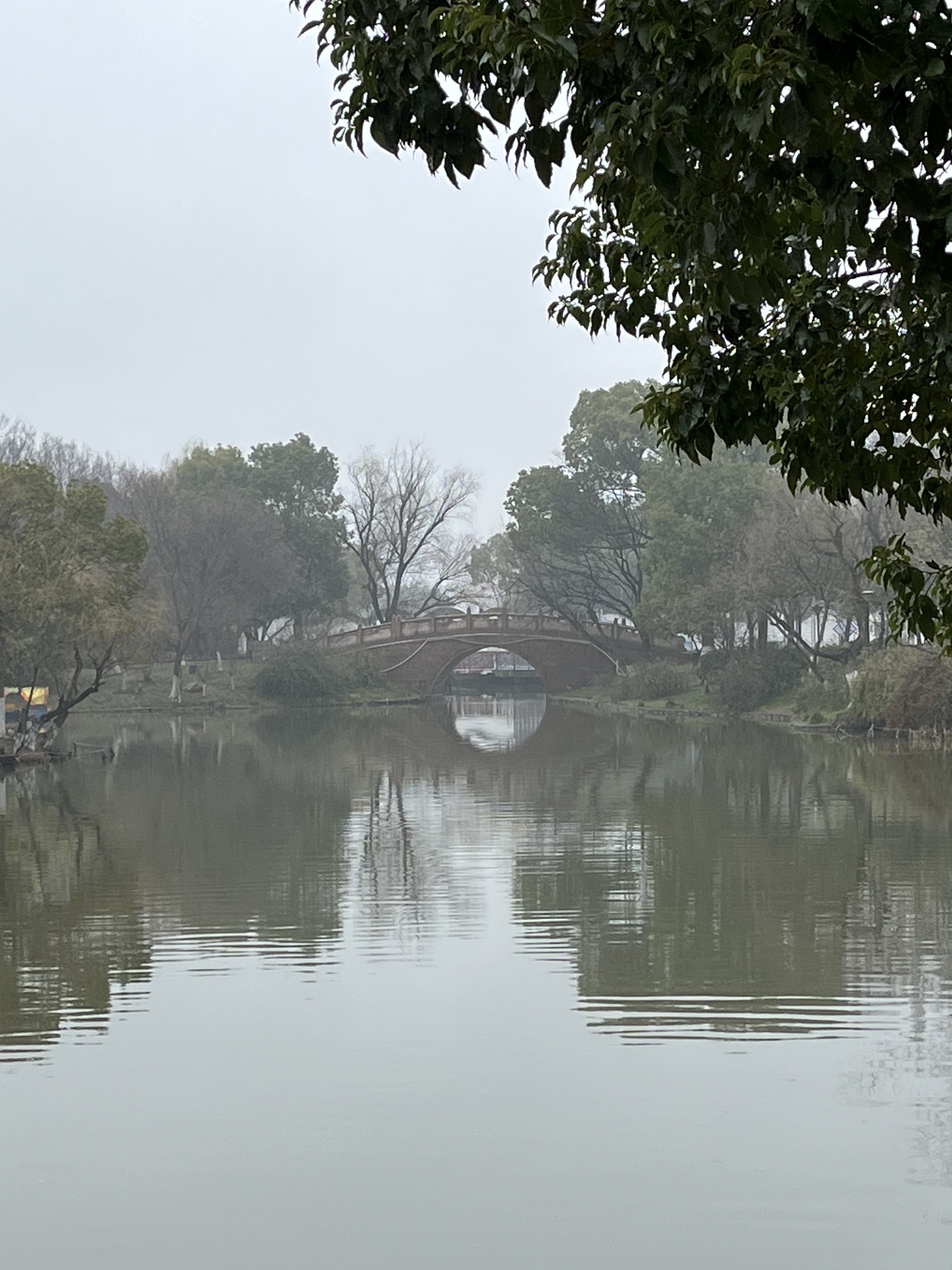 滨海公园旅行图片 3