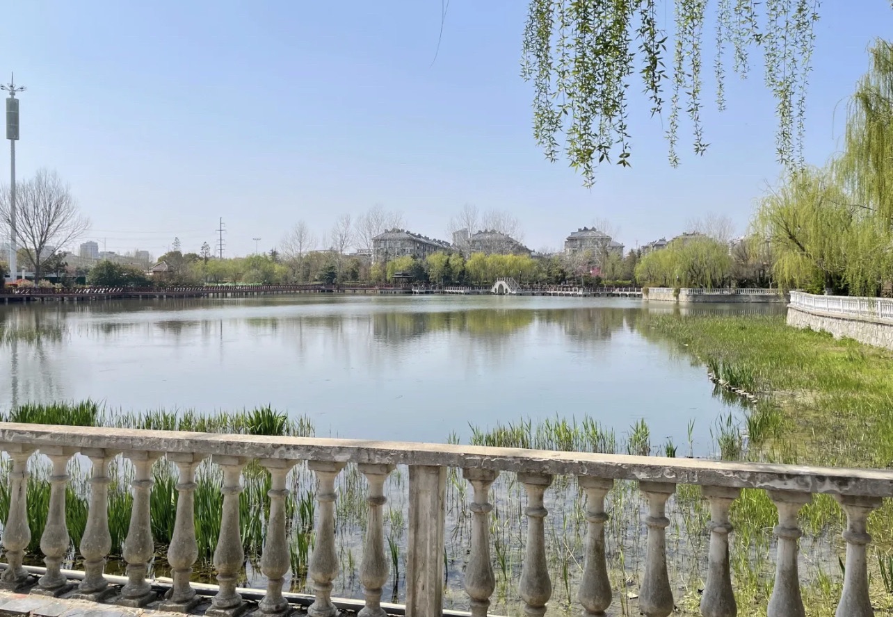滨海公园旅行图片 1