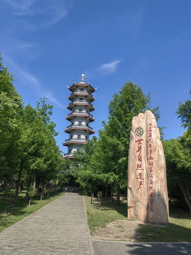 中华麋鹿园旅行图片 1