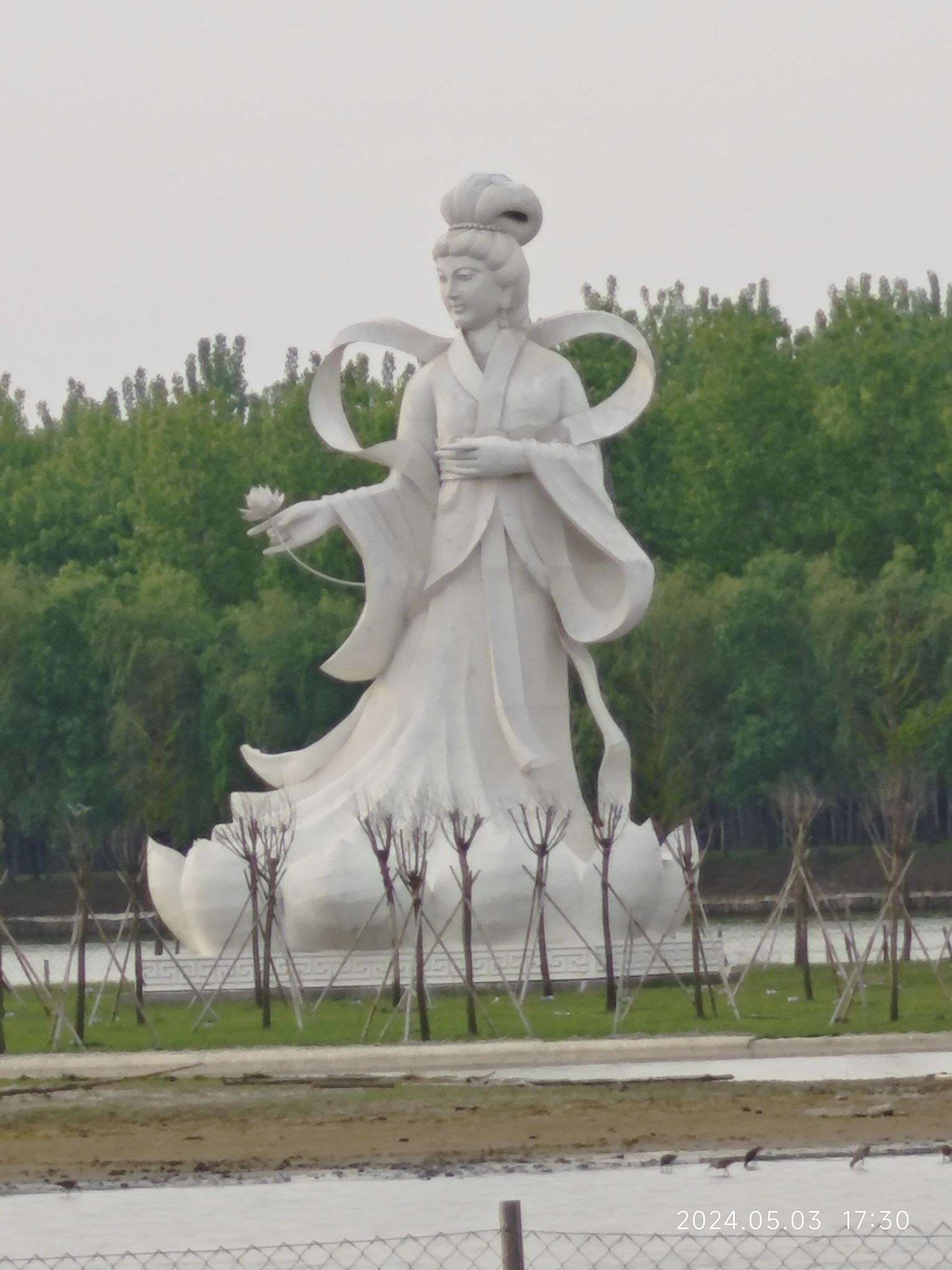 中华麋鹿园旅行图片 1