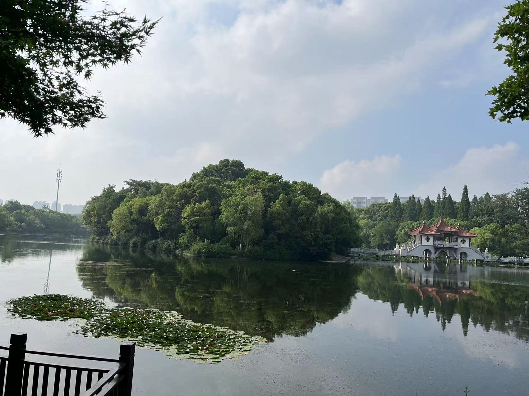 东台人民公园旅行图片 3
