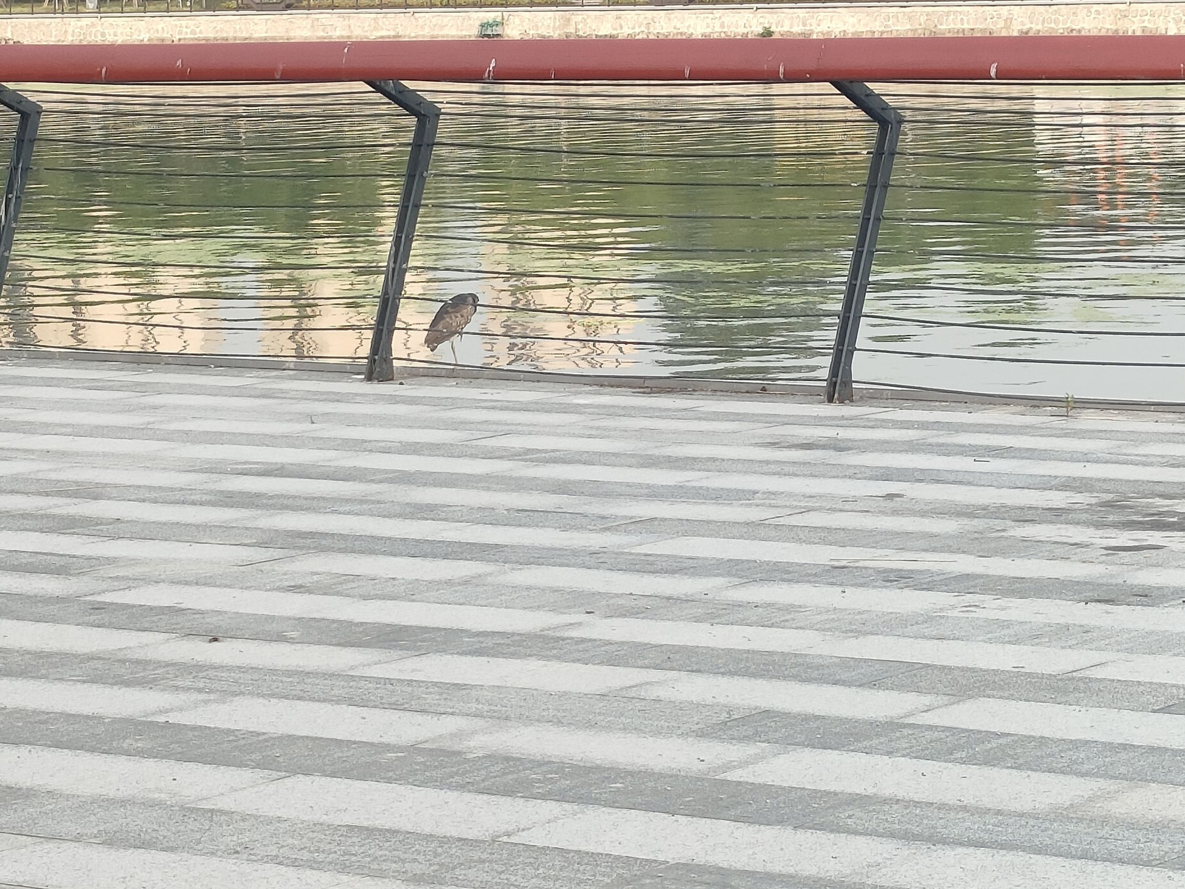 人民公园旅行图片 2