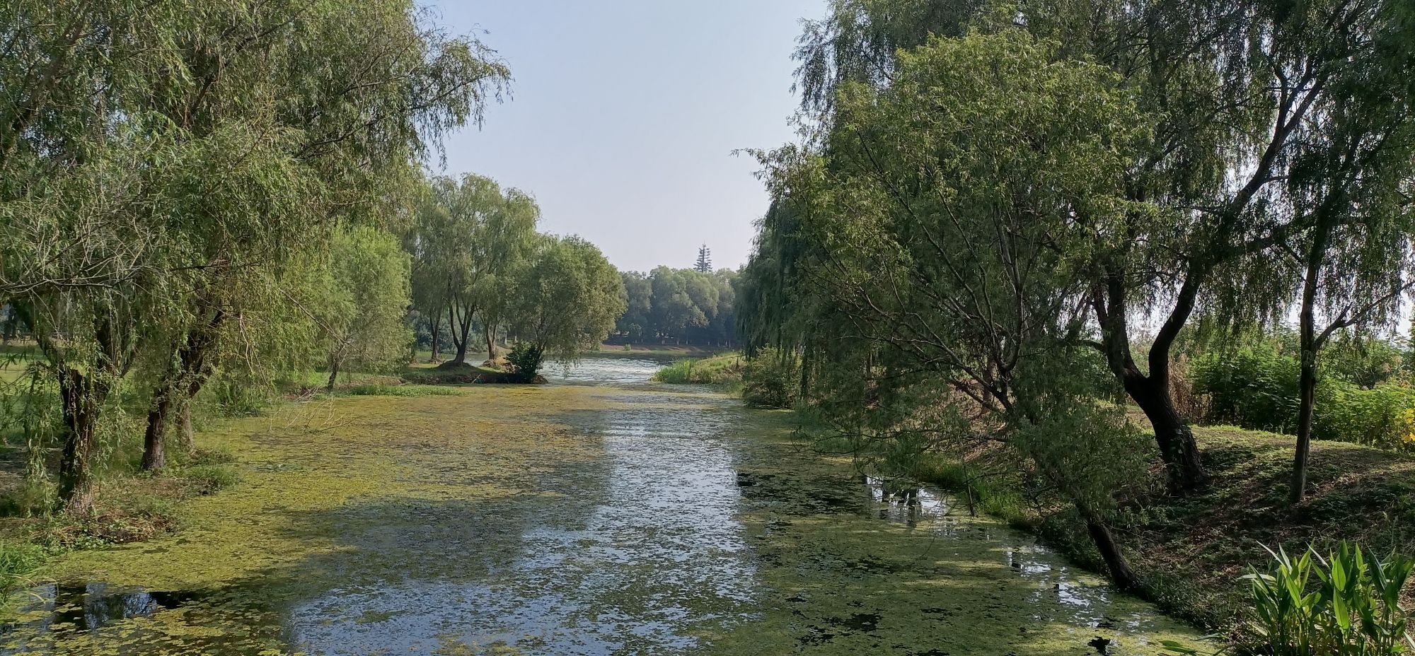 大纵湖旅游度假区旅行图片 3