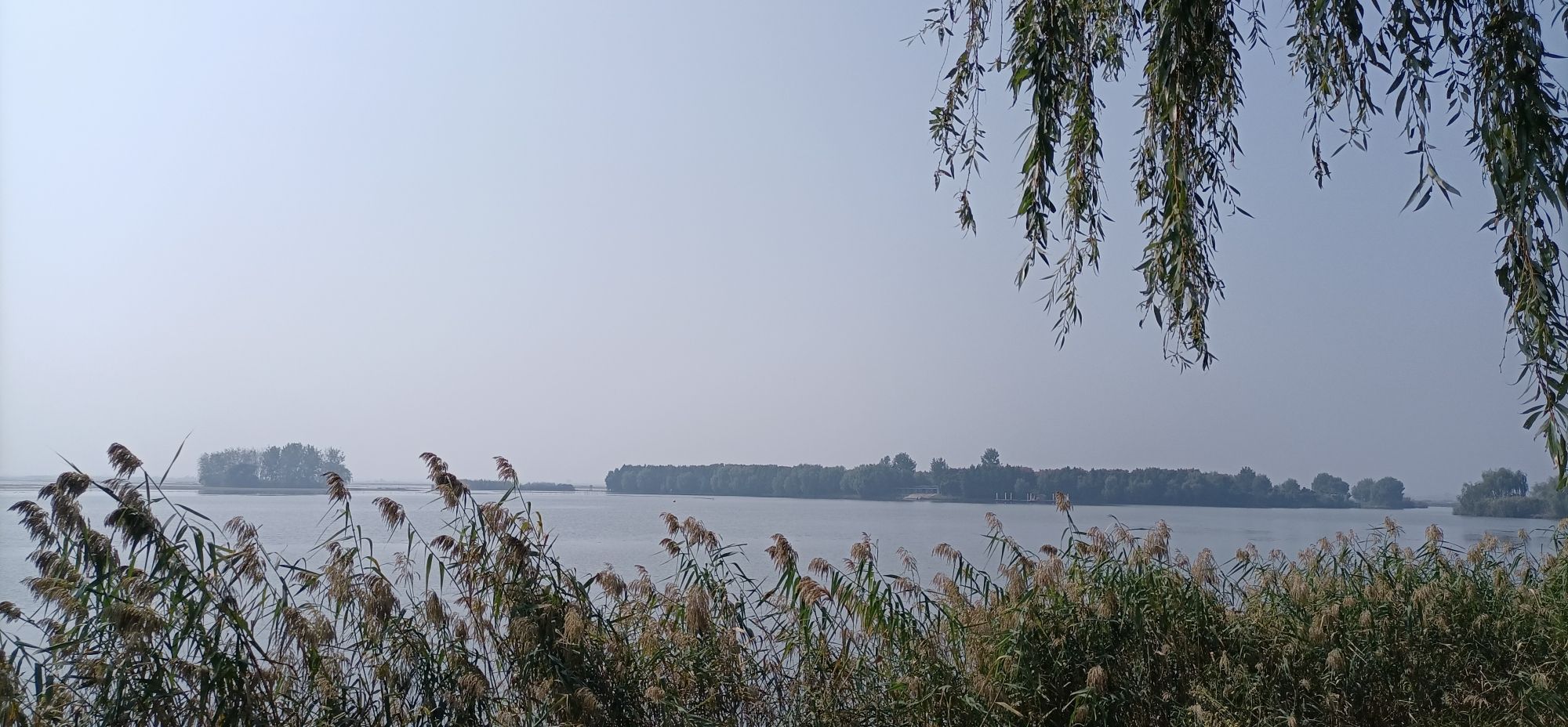 大纵湖旅游度假区旅行图片 2