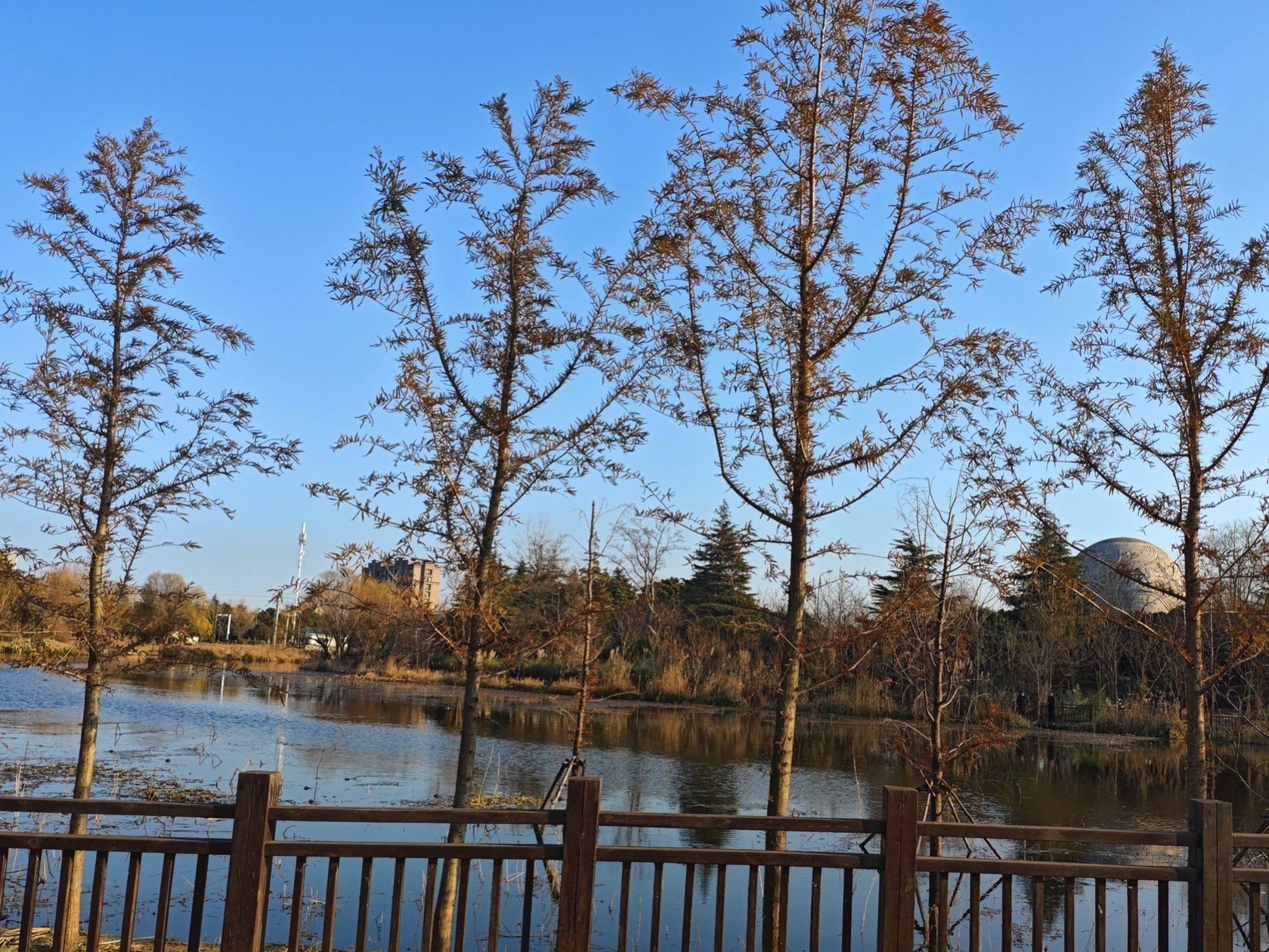 后羿公园旅行图片 3