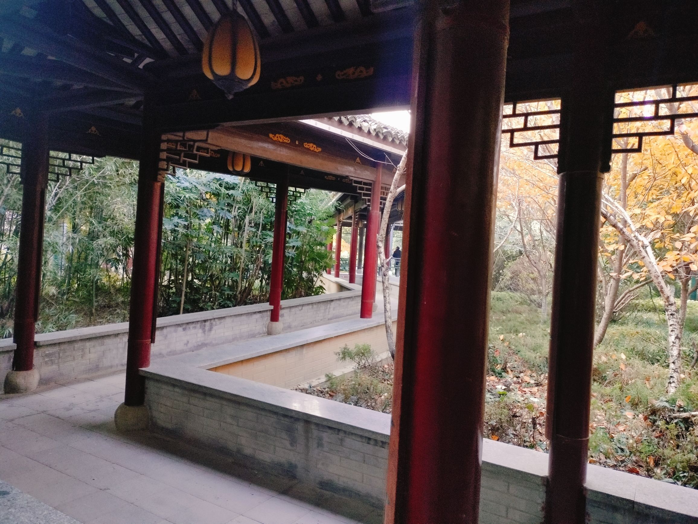 南湖广场旅行图片 3