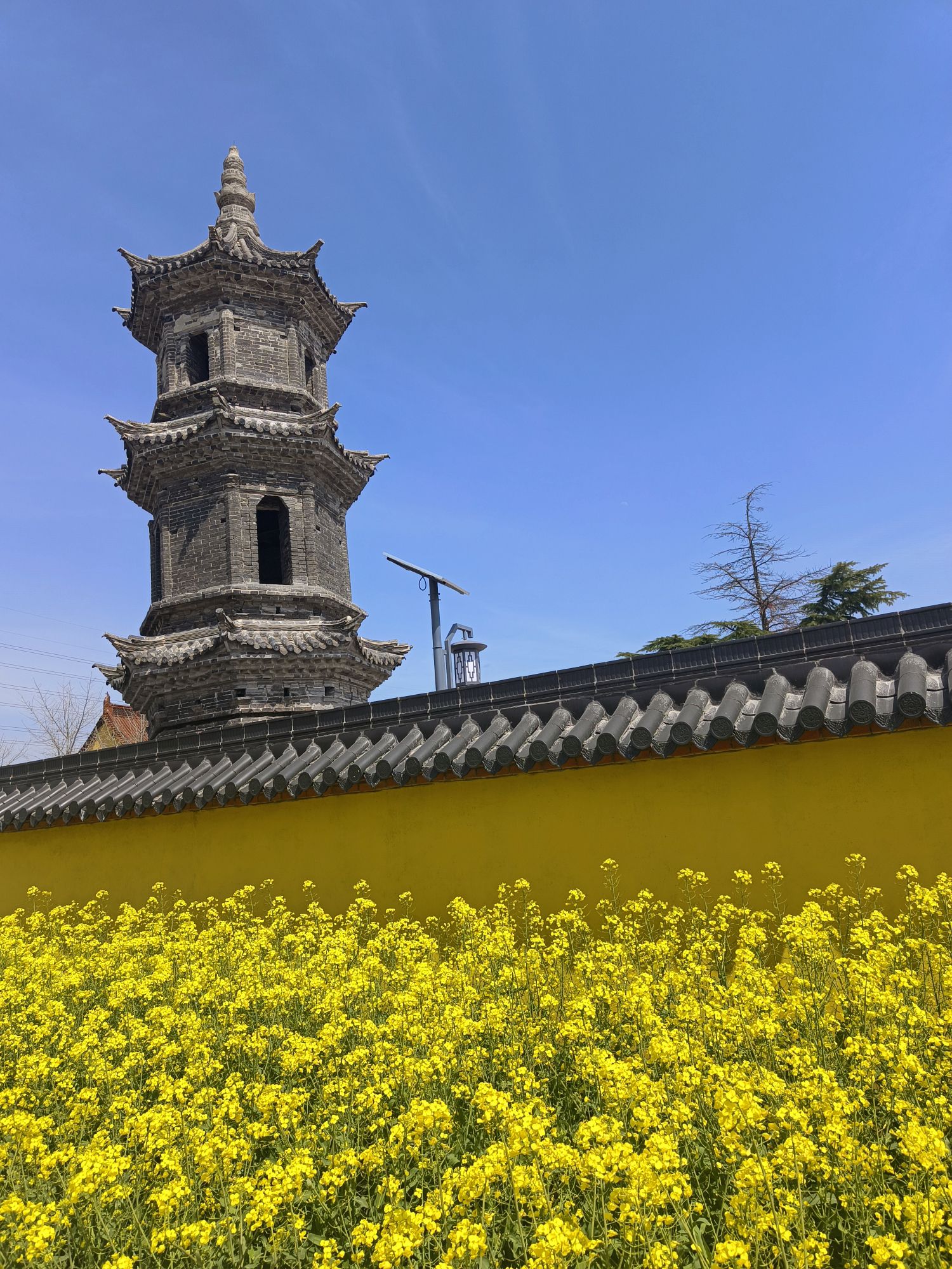 朦胧宝塔旅行图片 1