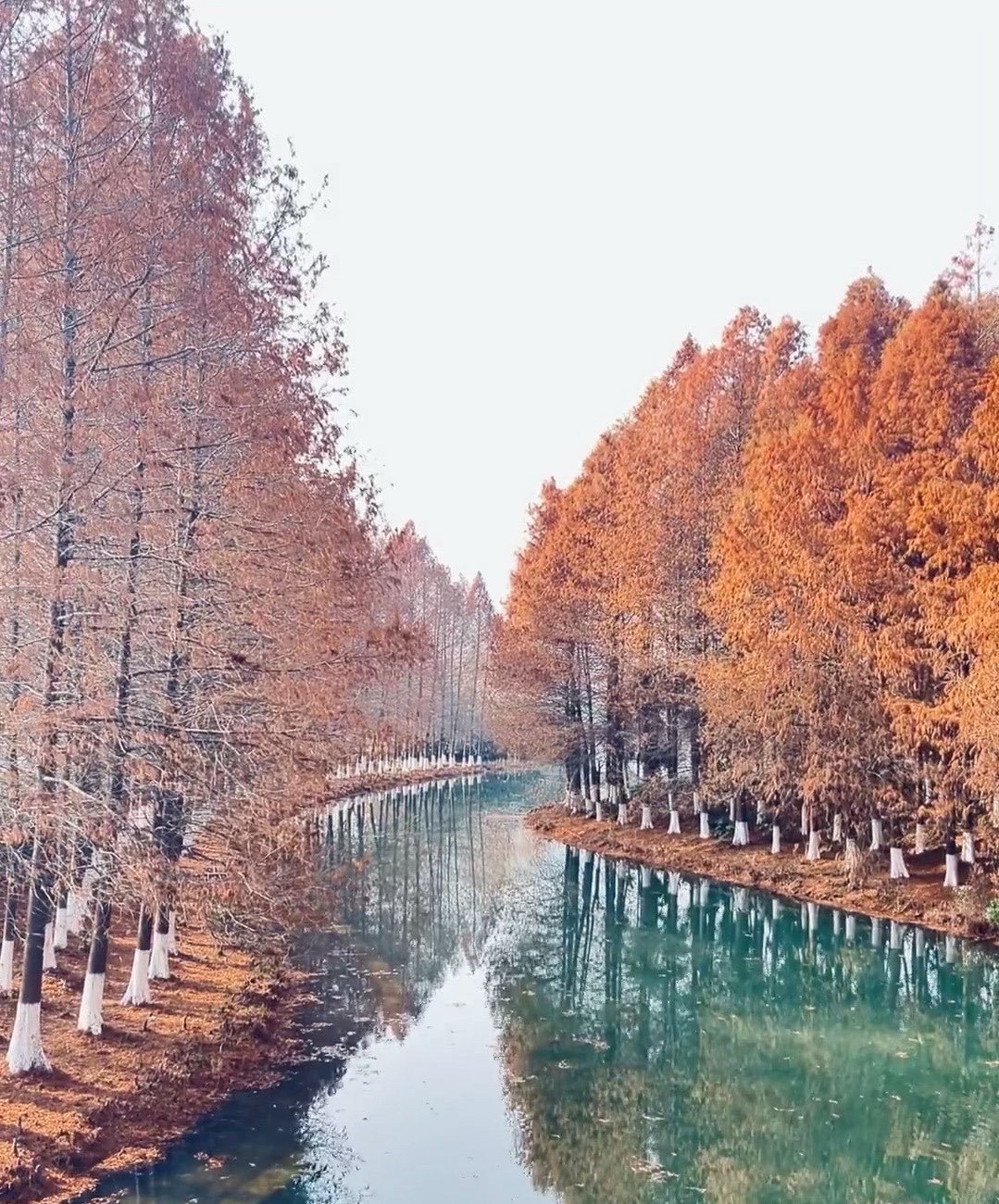 朦胧宝塔旅行图片 2