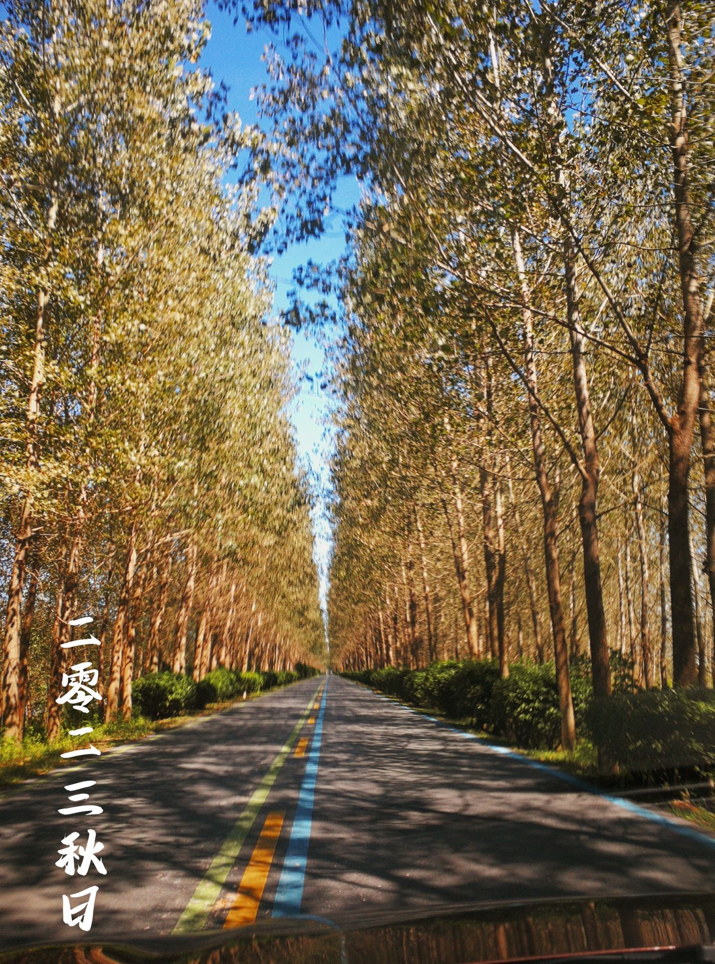滨海海堤风光游览区旅行图片 1