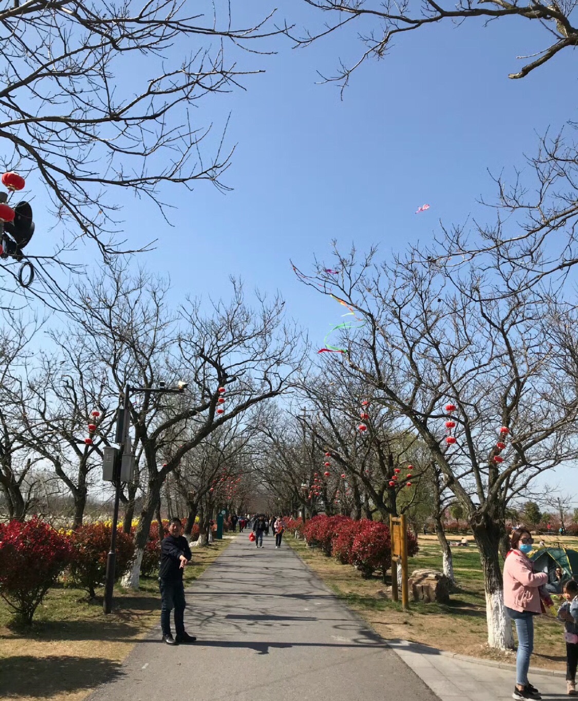 江苏省盐城市华都森林公园