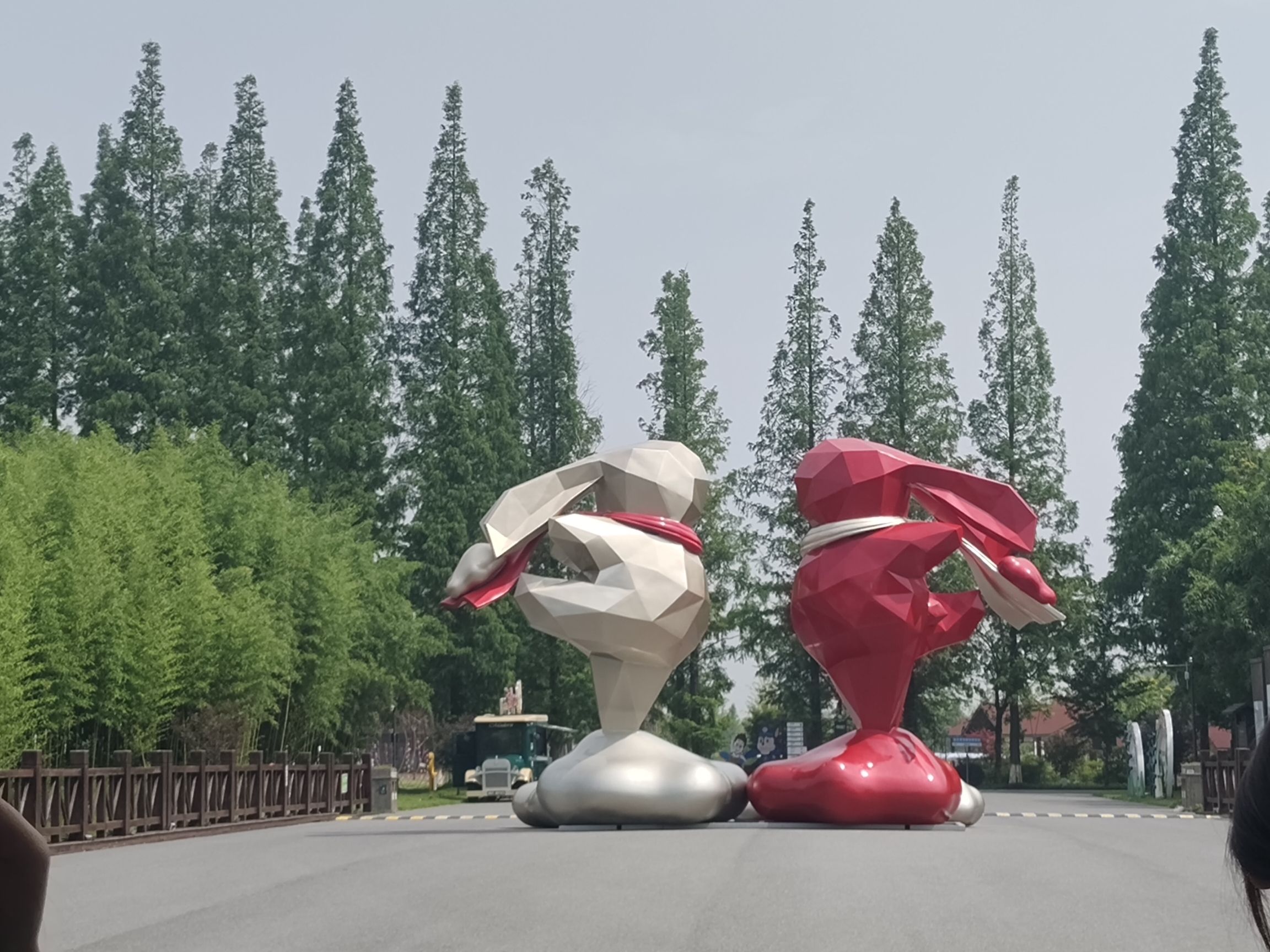 黄海森林生态旅游度假区旅行图片 2