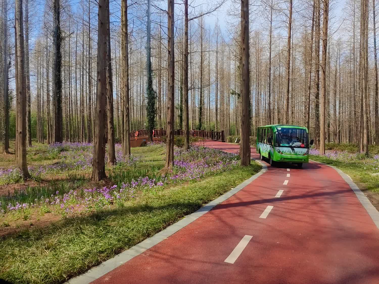 黄海森林生态旅游度假区旅行图片 3